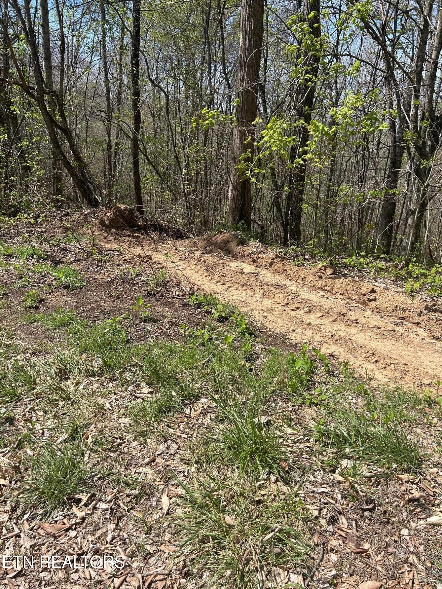 IMG_1660 - lot 27 Jones Ridge Rd, Speedwell, TN 37870