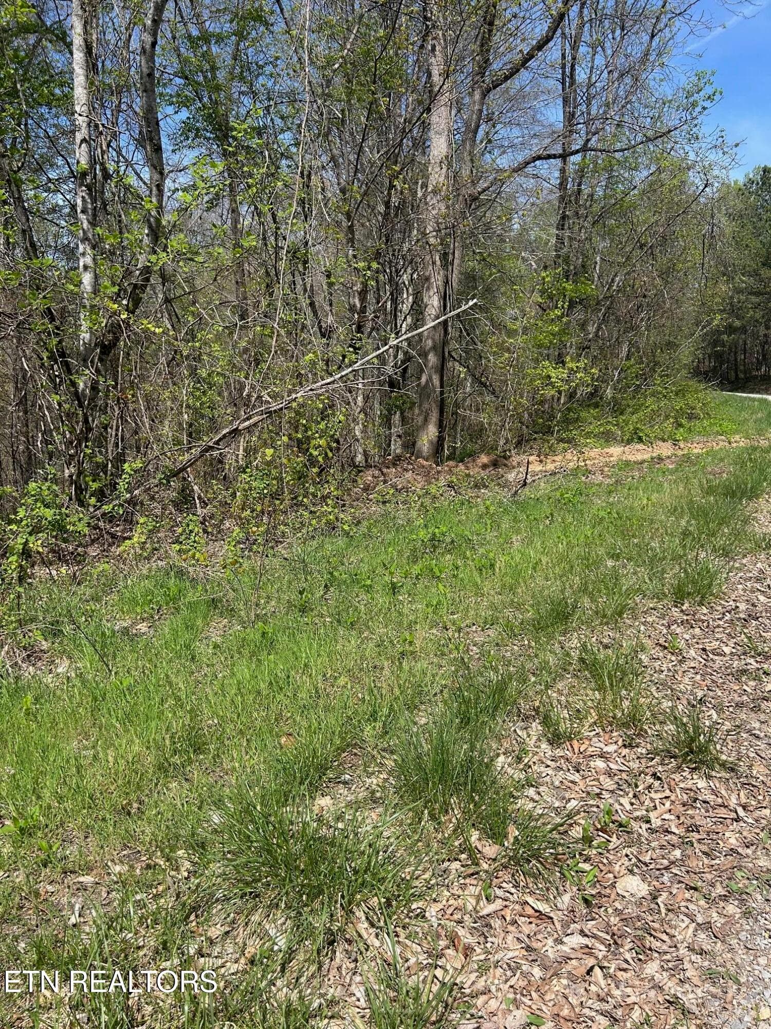 IMG_1664 - lot 28 Jones Ridge Rd, Speedwell, TN 37870