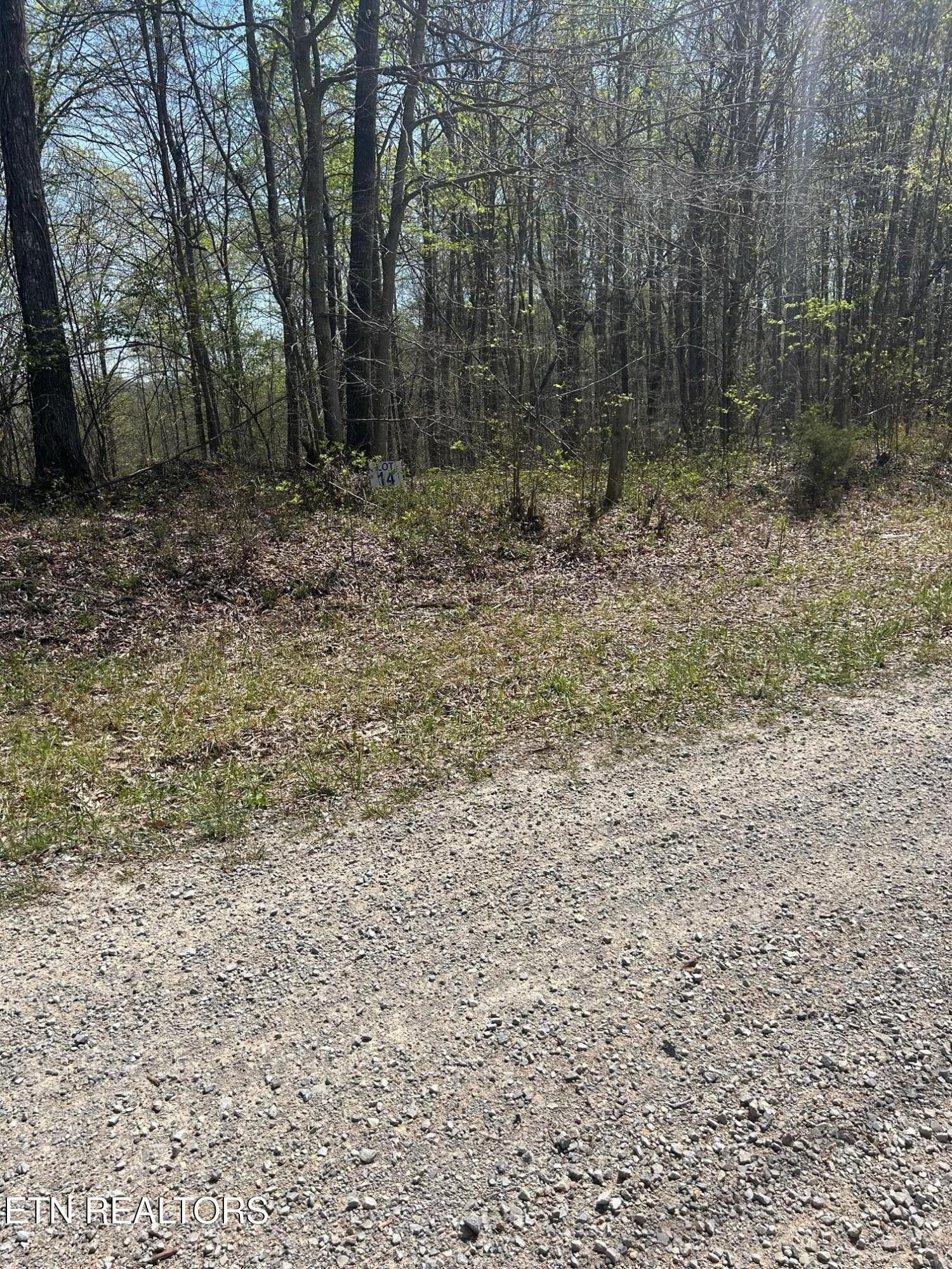 IMG_1665 - lot 28 Jones Ridge Rd, Speedwell, TN 37870