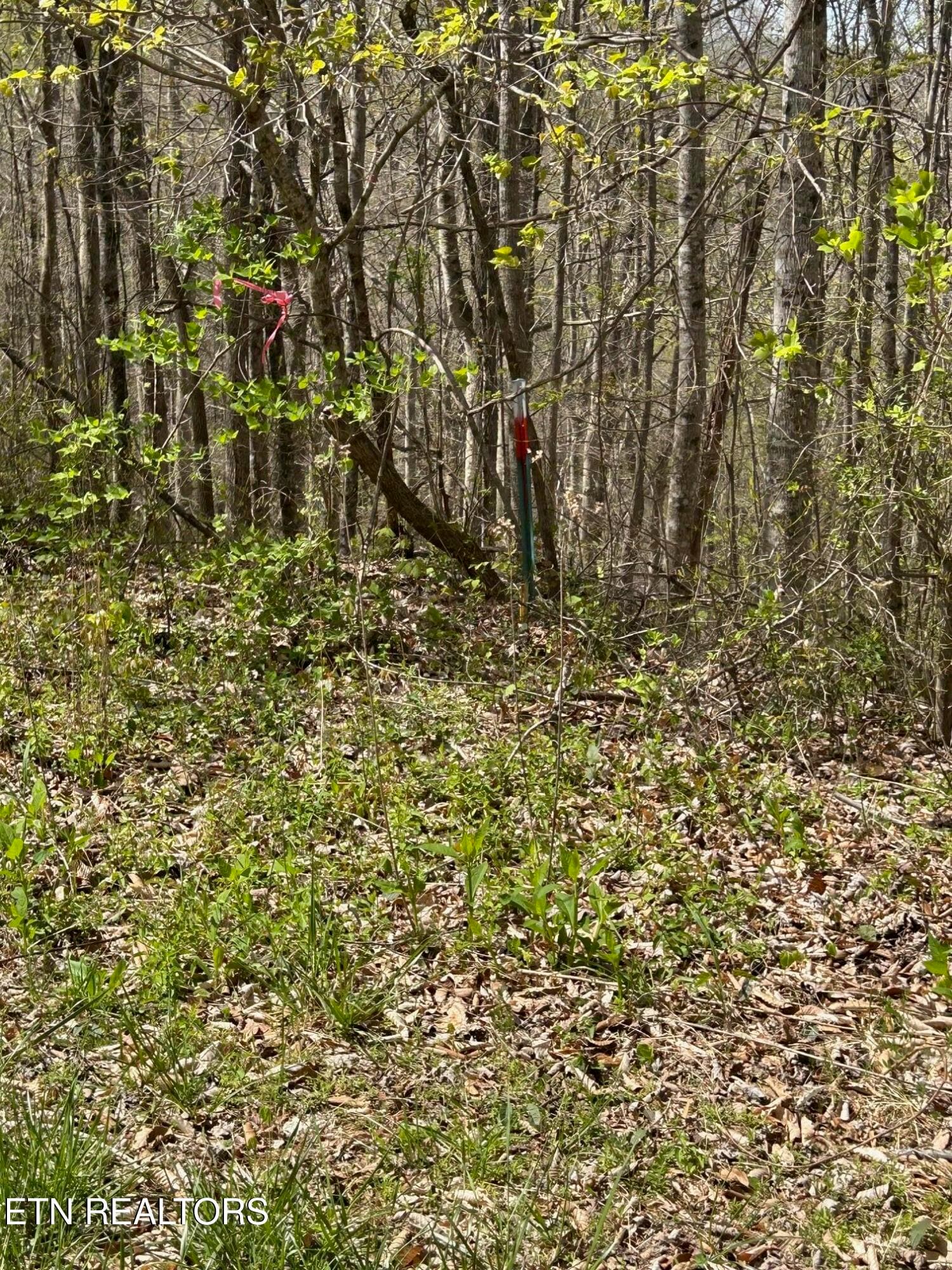 lot 28 Jones Ridge Rd, Speedwell, TN 37870