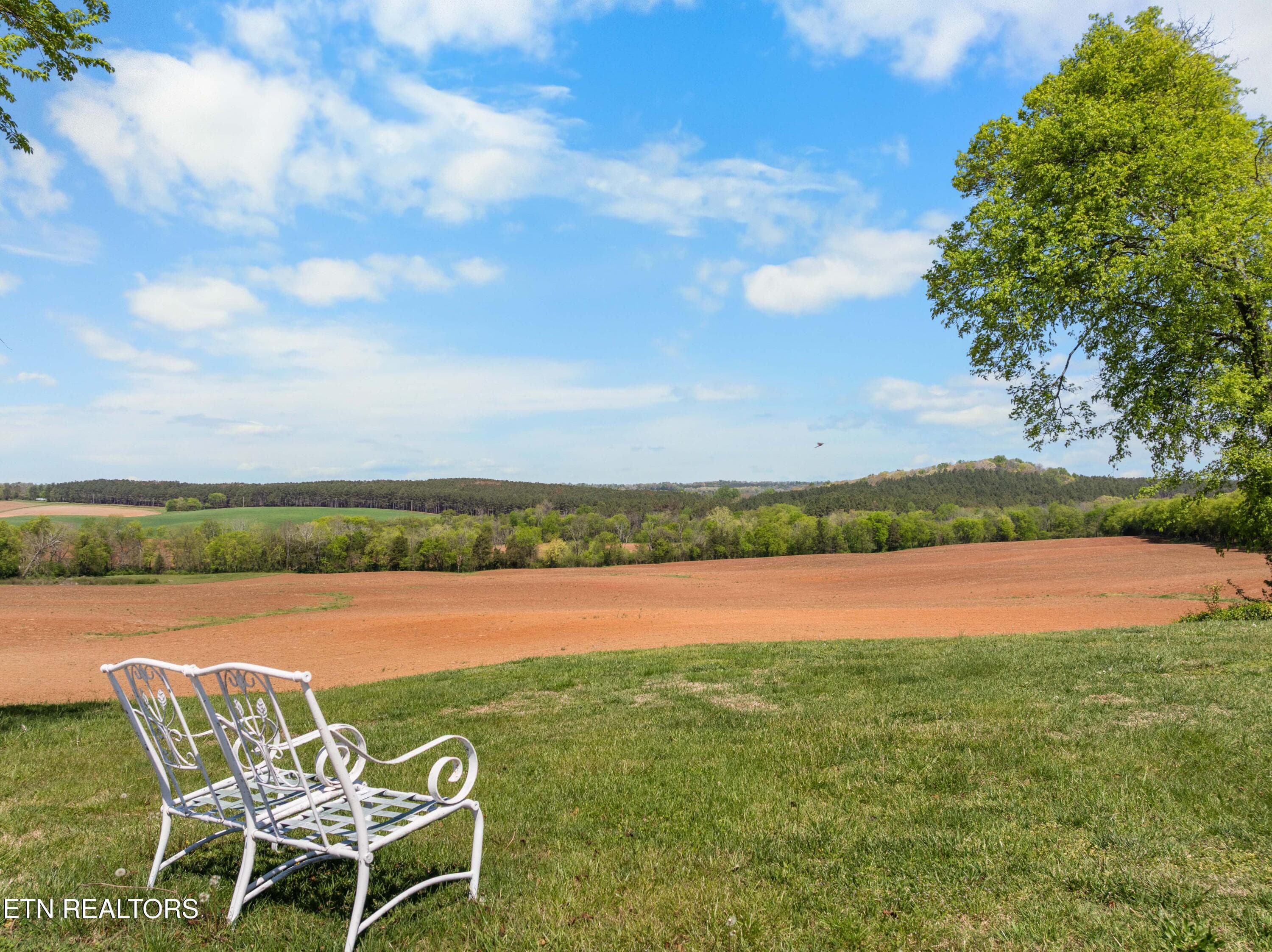 View from driveway - 361 Highway 307, Athens, TN 37303