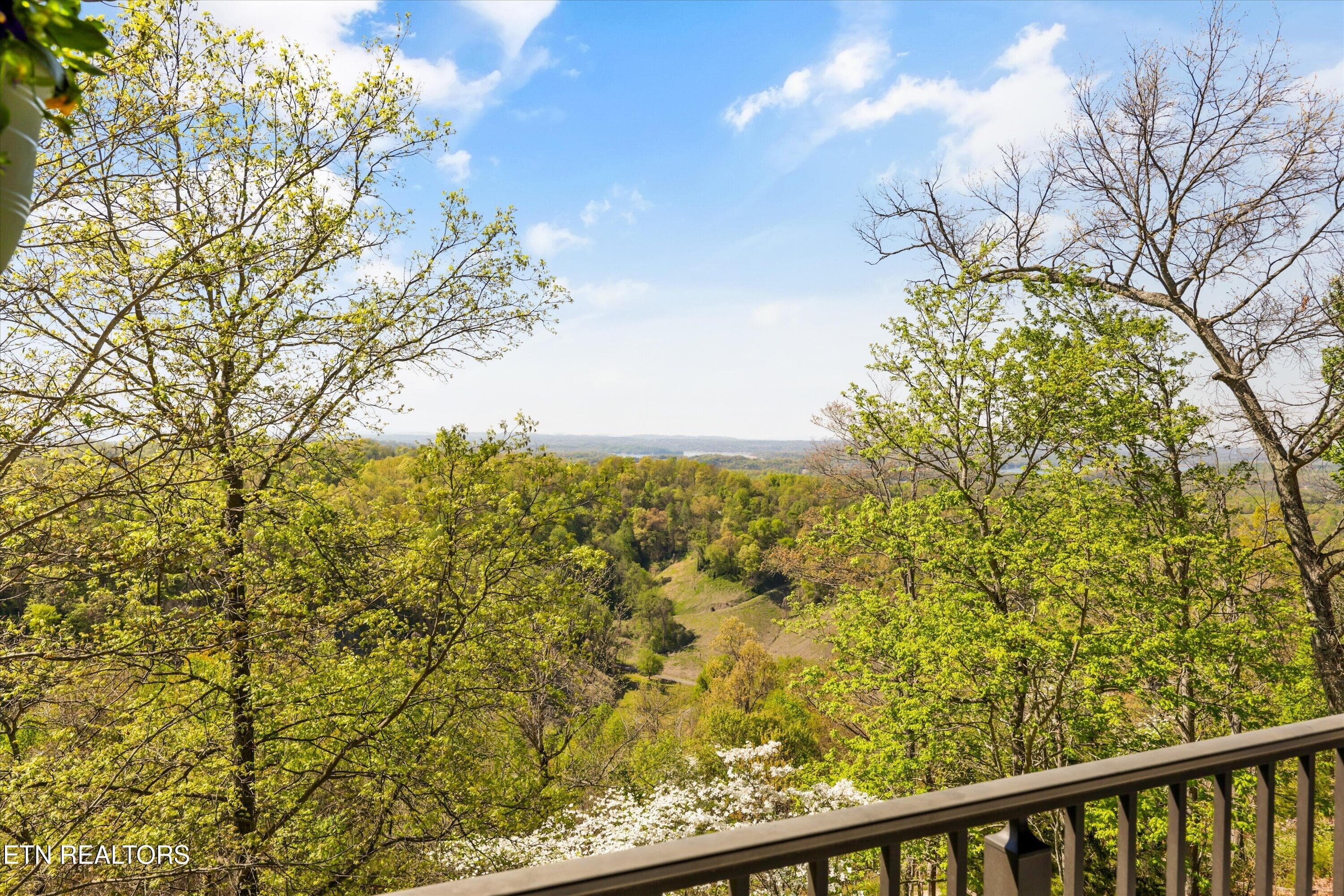 42-2278 Lower Rinehart Rd 038 - 2278 Lower Rinehart Rd, Dandridge, TN 37725