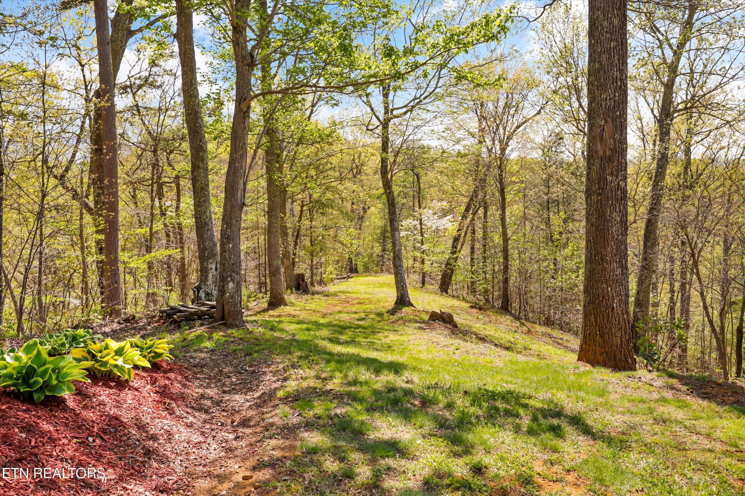 49-2278 Lower Rinehart Rd 047 - 2278 Lower Rinehart Rd, Dandridge, TN 37725