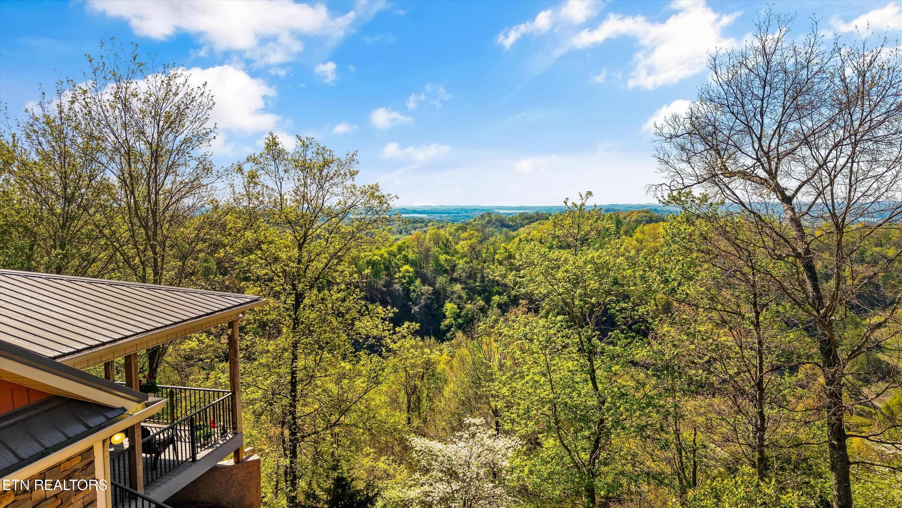 52-2278 Lower Rinehart Rd 056 - 2278 Lower Rinehart Rd, Dandridge, TN 37725