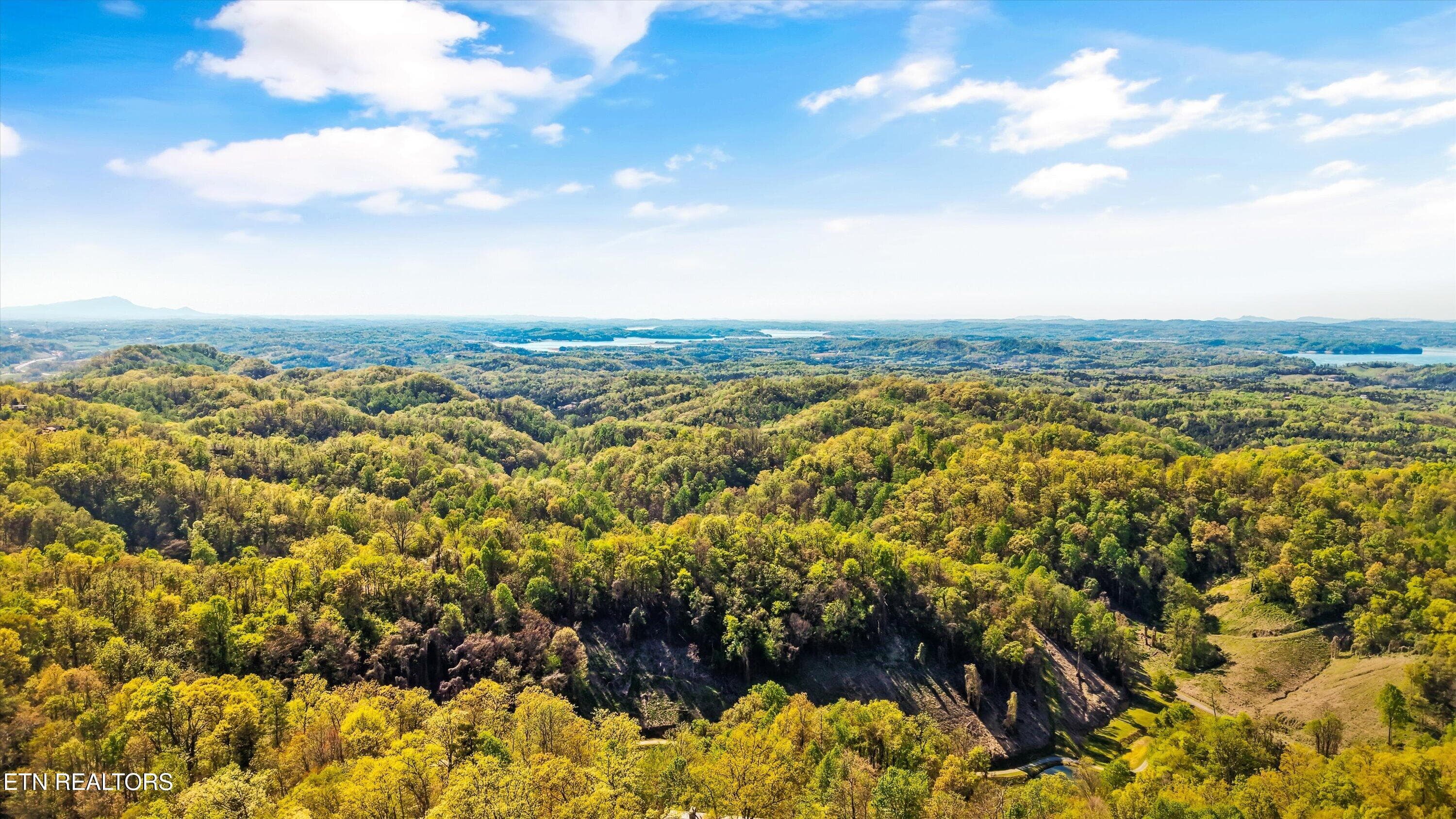 61-2278 Lower Rinehart Rd 052 - 2278 Lower Rinehart Rd, Dandridge, TN 37725