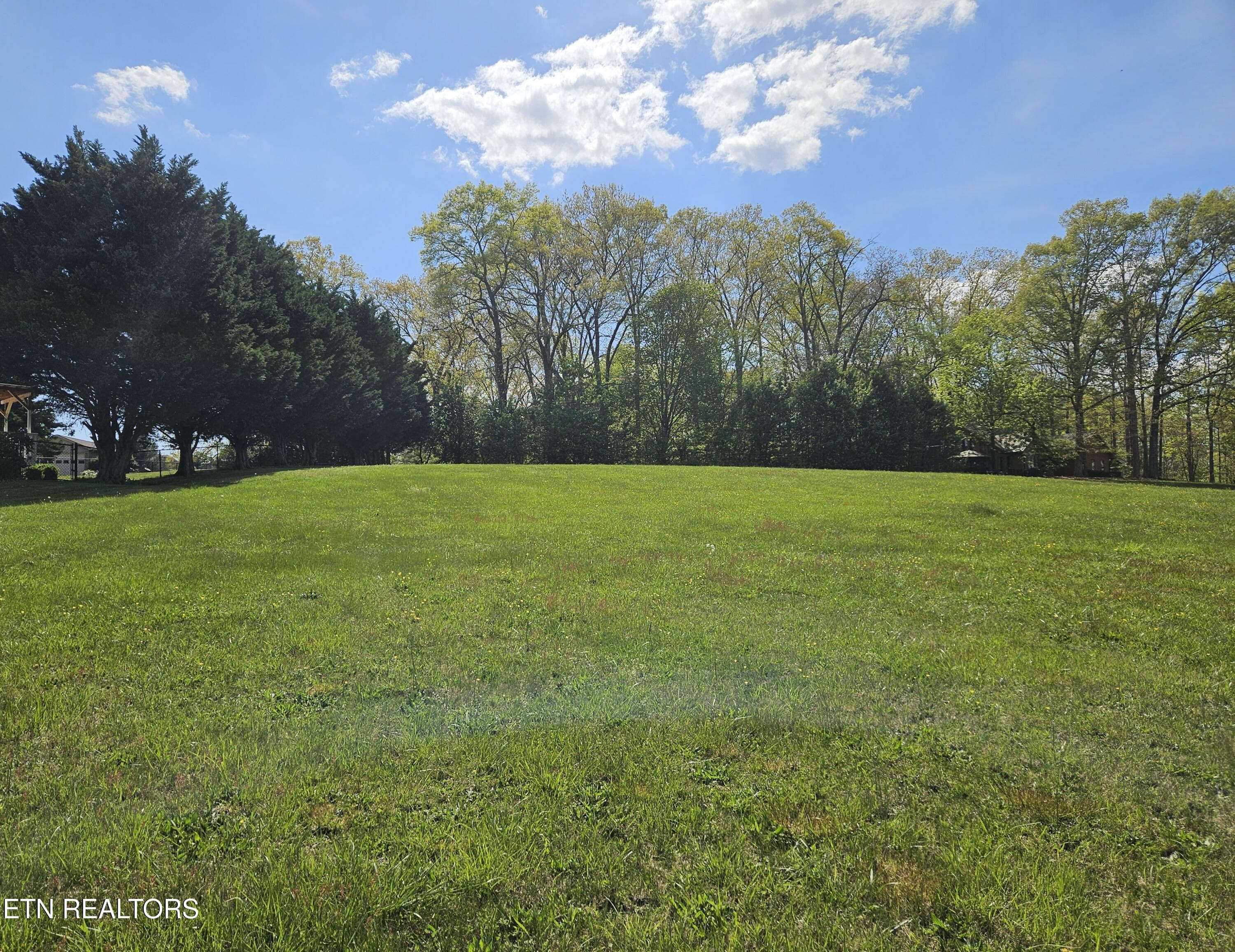 Beautiful level lot - Lot 84 Mallard Baye, Rutledge, TN 37861, Rutledge
