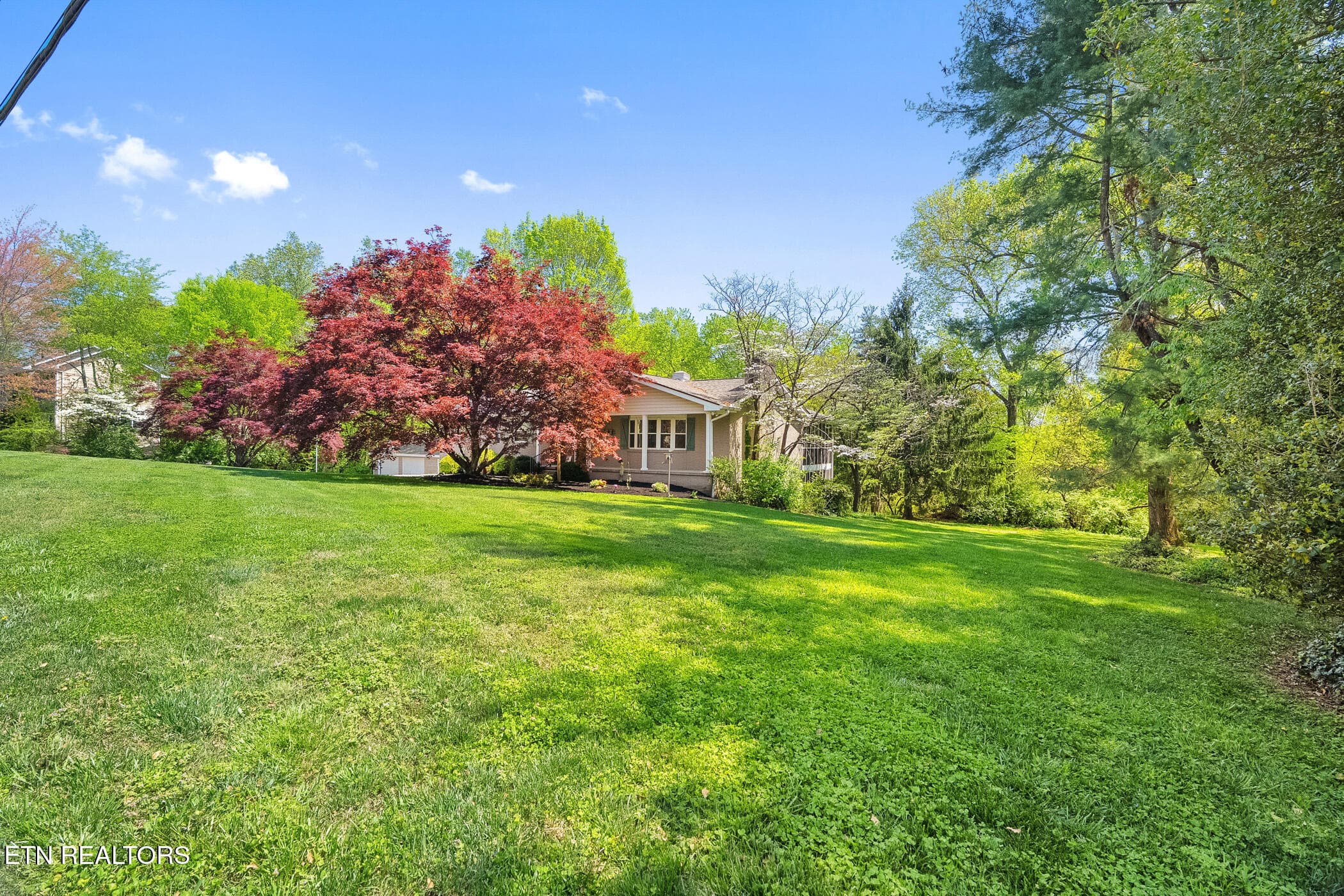 dsc08182_1 - 11310 Sonja Drive, Knoxville, TN 37934, Knoxville