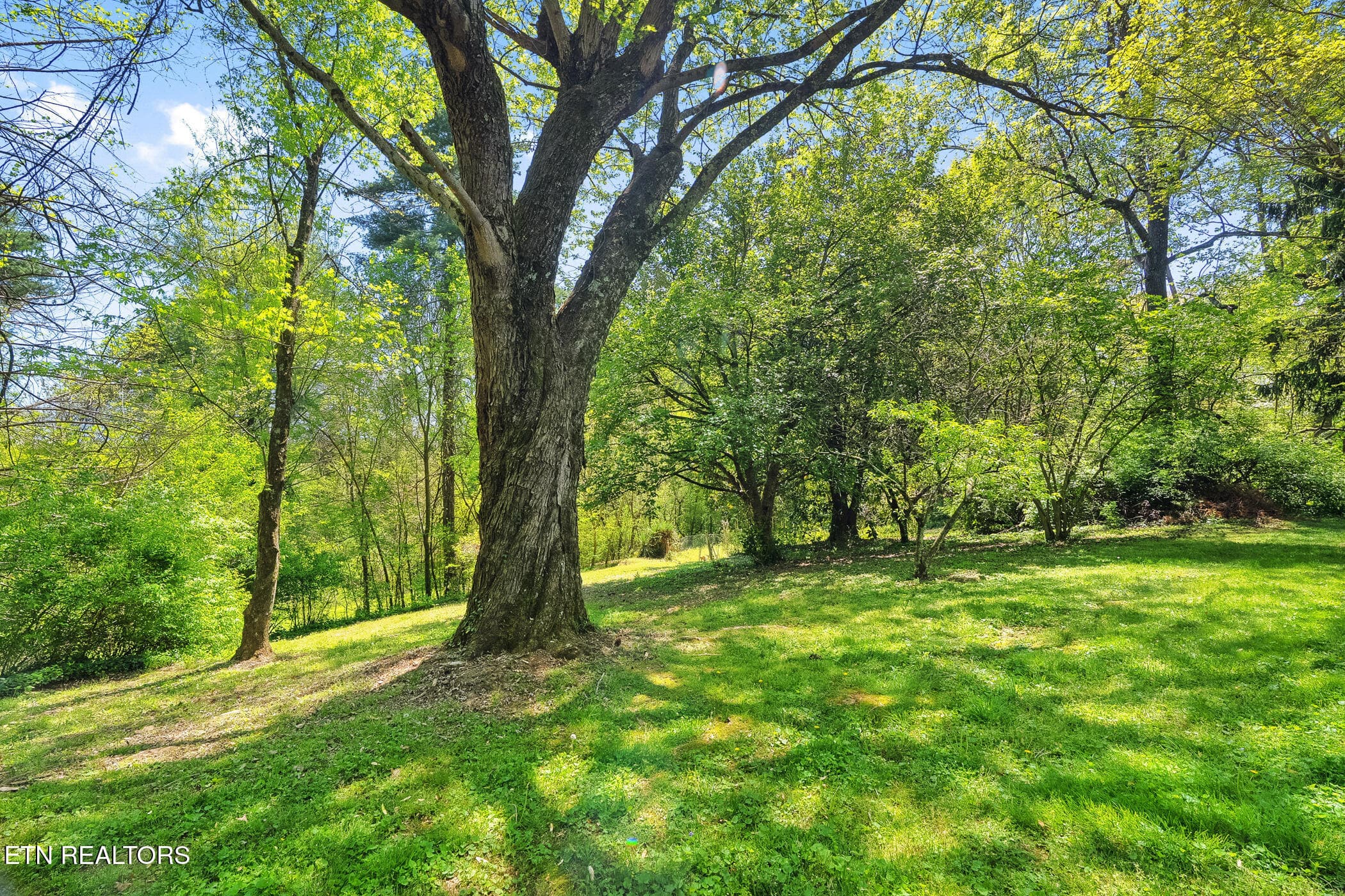 dsc08192 - 11310 Sonja Drive, Knoxville, TN 37934, Knoxville
