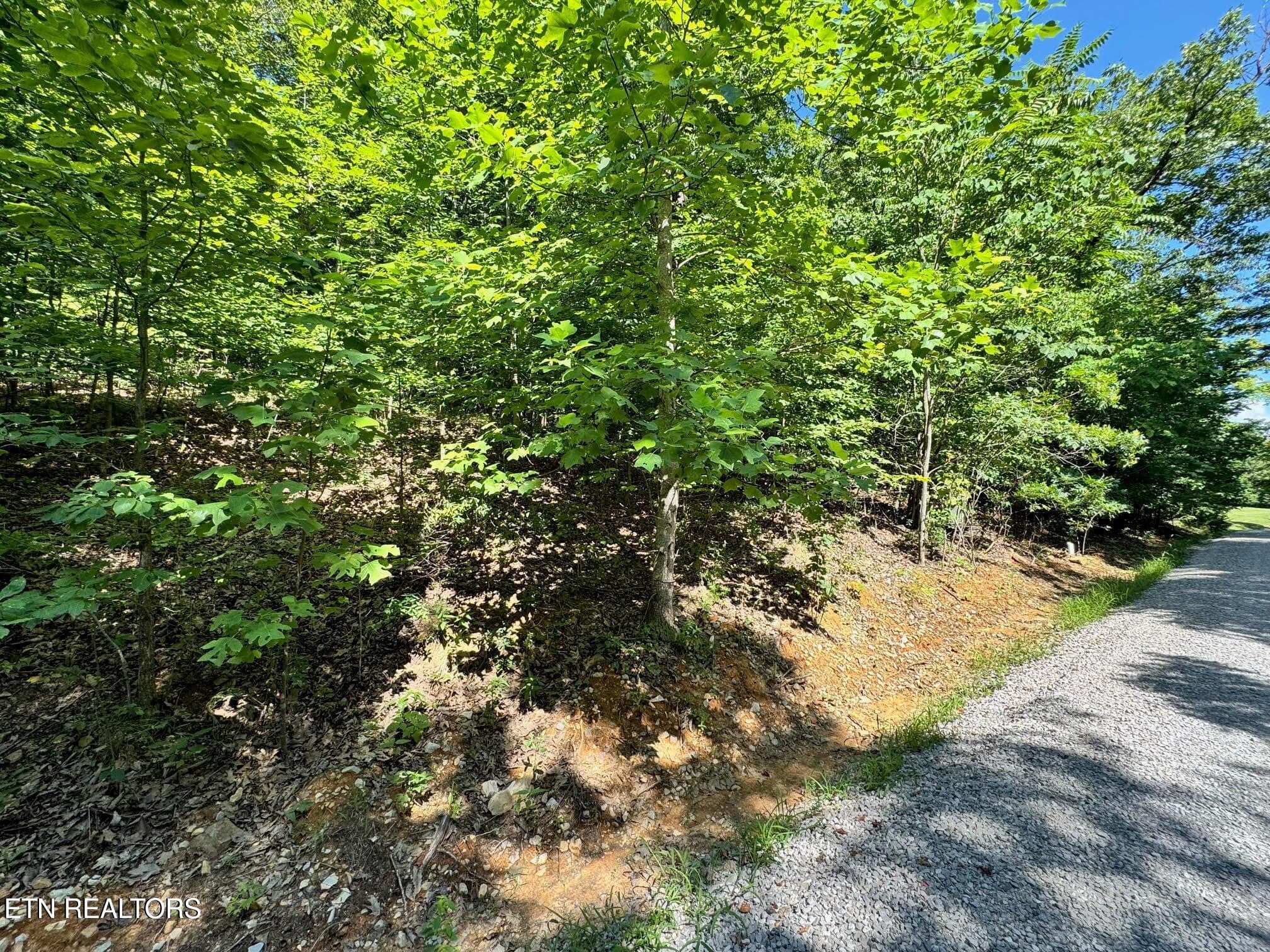 626 N Pointe Tr, Allons, TN 38541