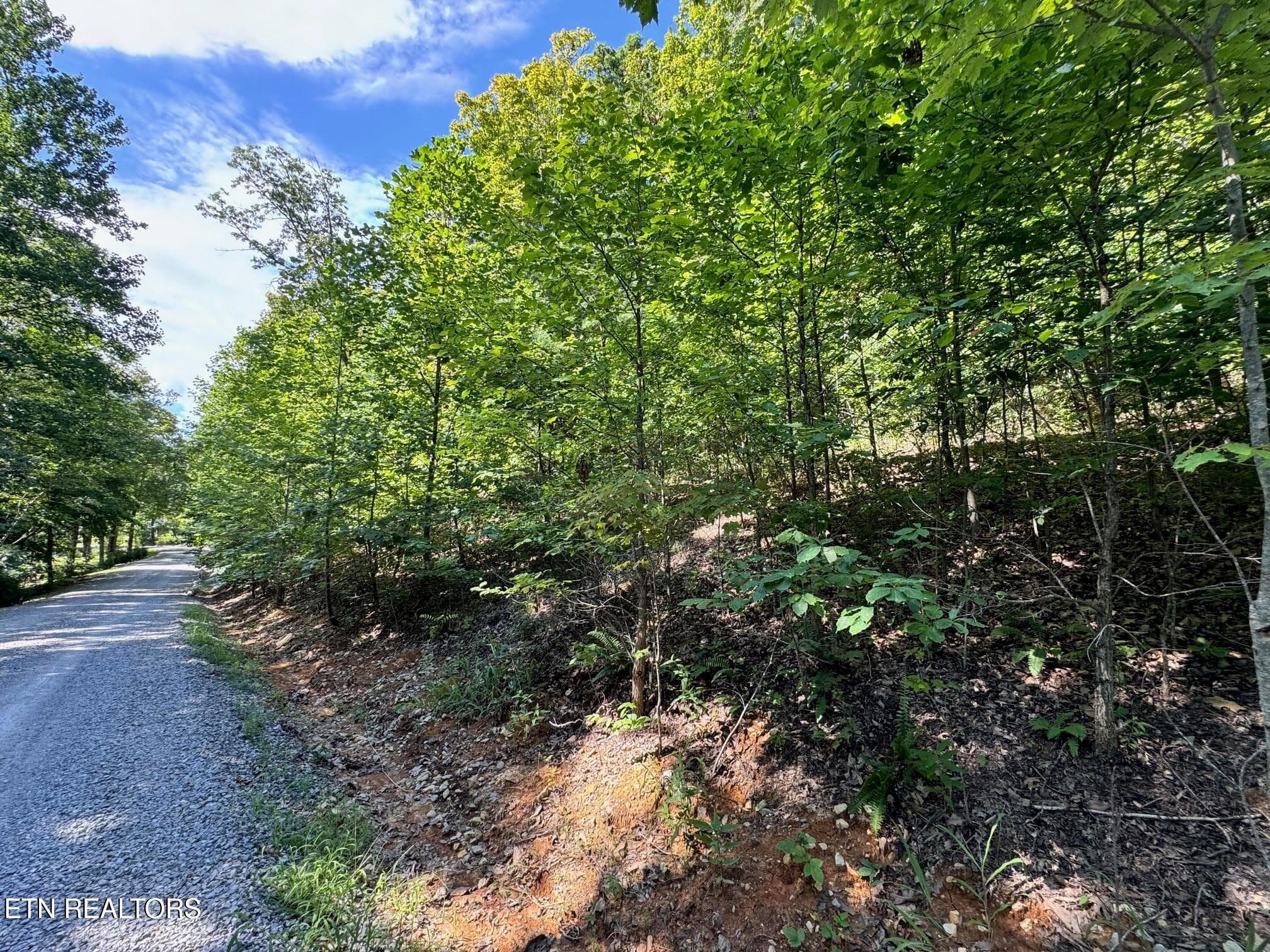 20250710211010688576000000-o - 626 N Pointe Tr, Allons, TN 38541