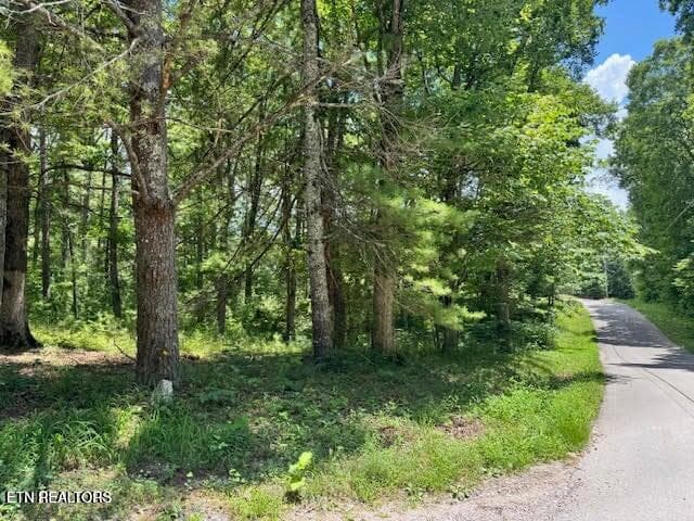 20250710211013335289000000-o - 626 N Pointe Tr, Allons, TN 38541
