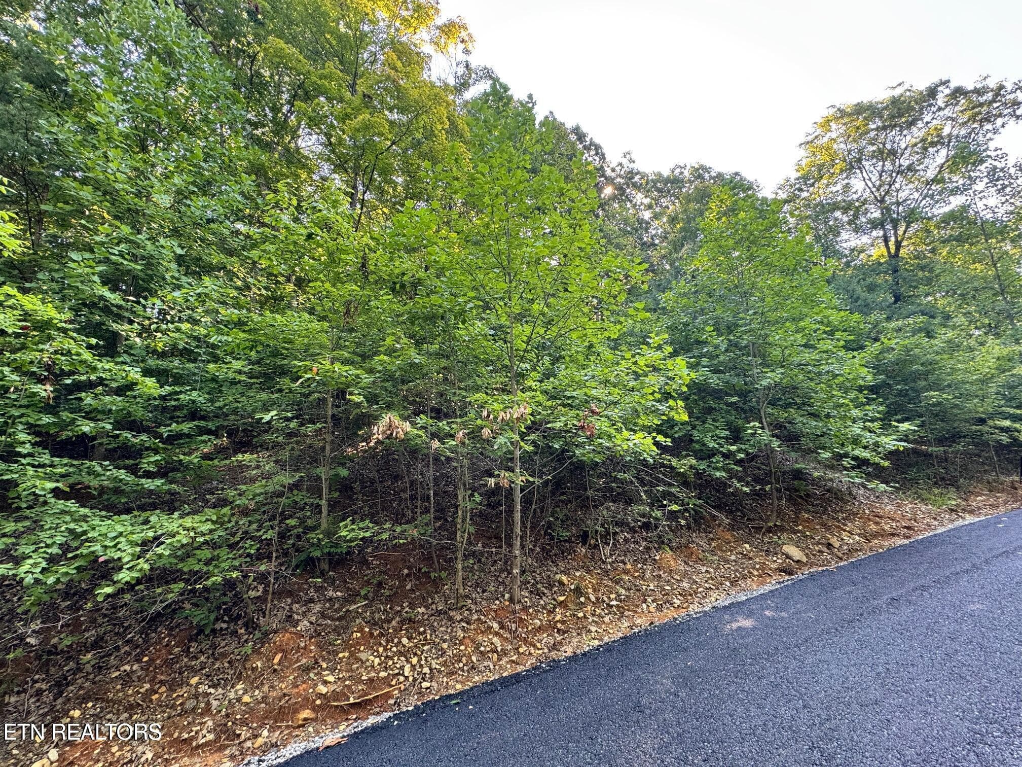 20250818140239987233000000-o - 626 N Pointe Tr, Allons, TN 38541