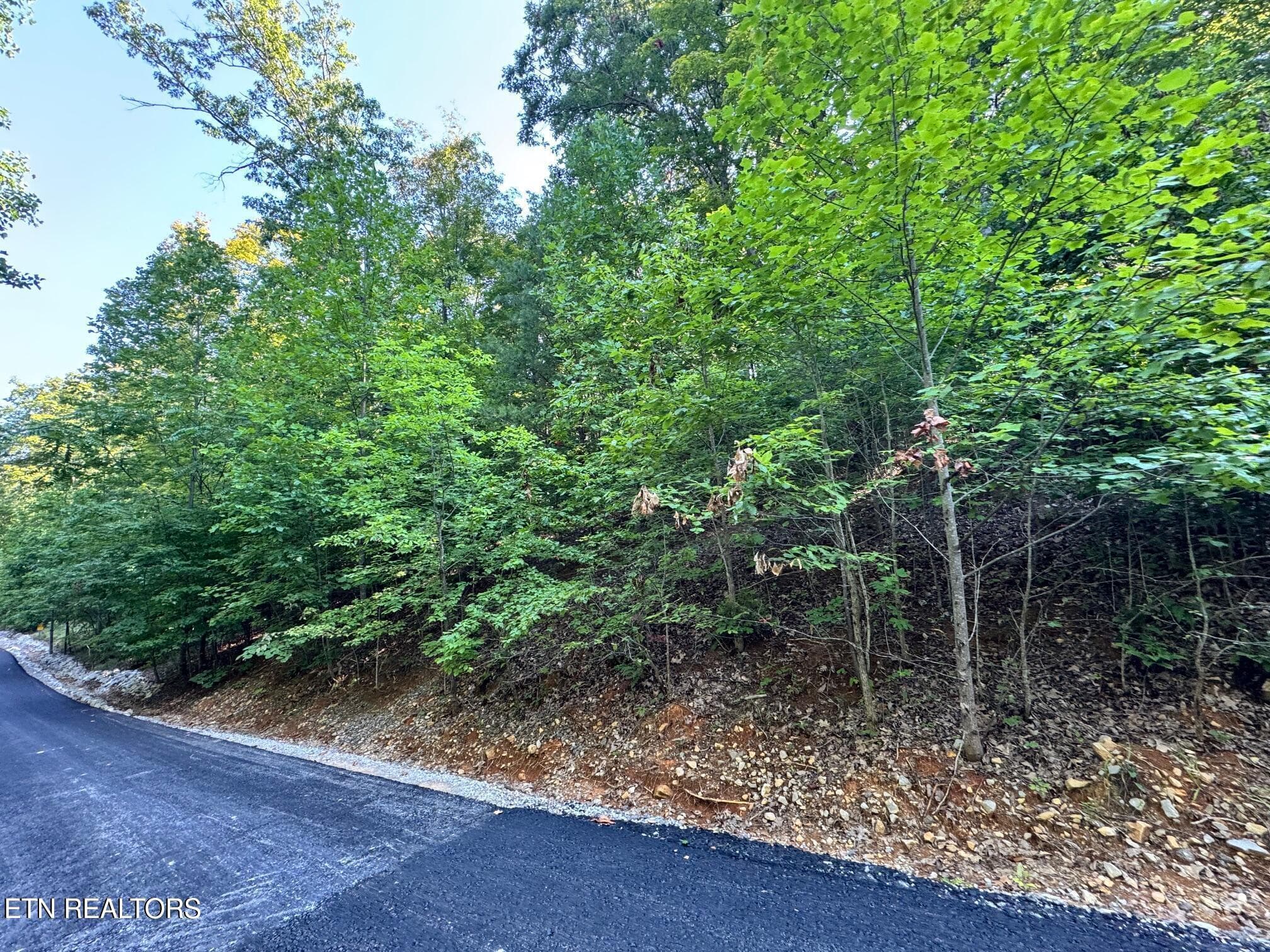 20250818140241094529000000-o - 626 N Pointe Tr, Allons, TN 38541