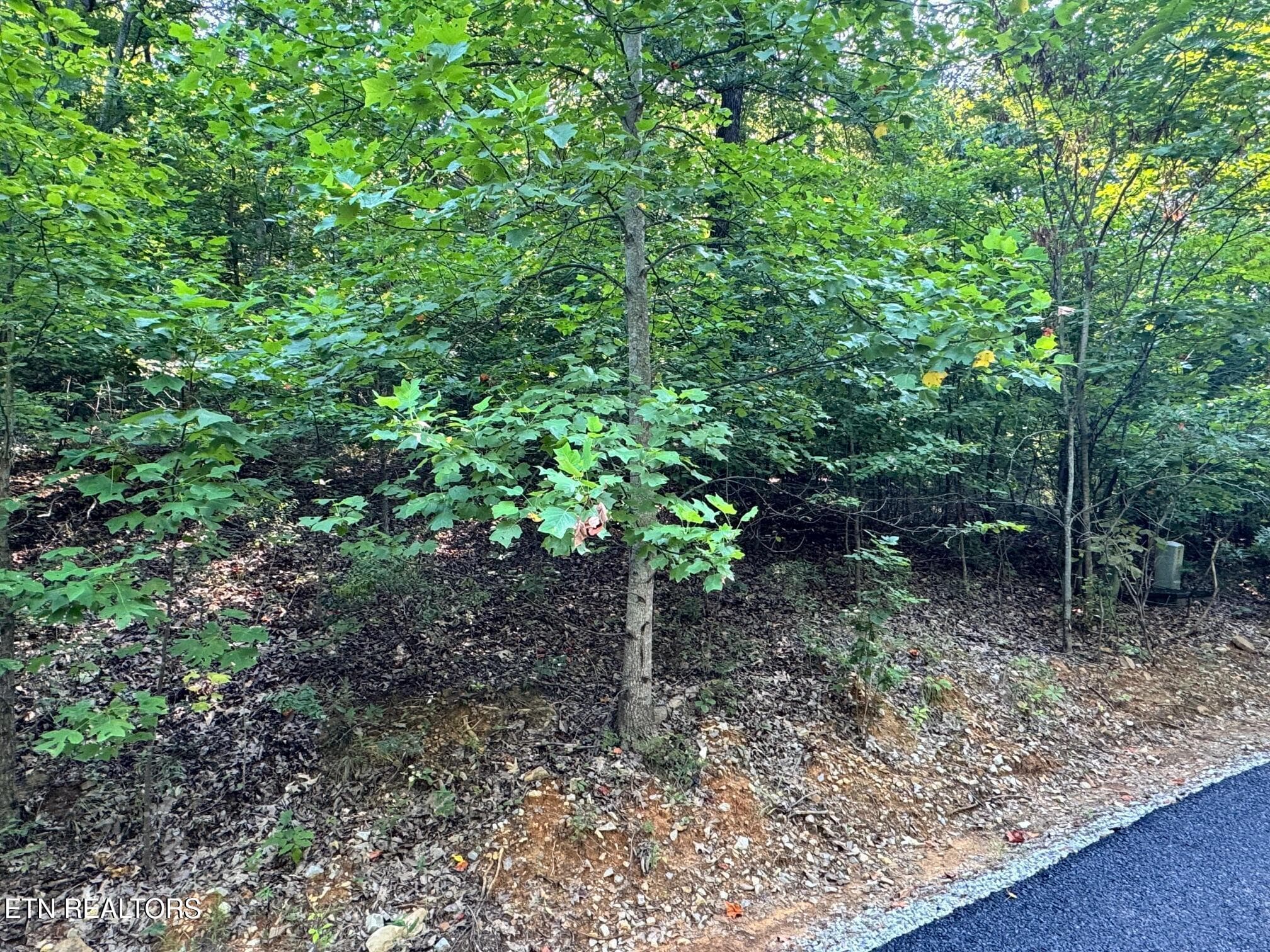 20250818140242082756000000-o - 626 N Pointe Tr, Allons, TN 38541