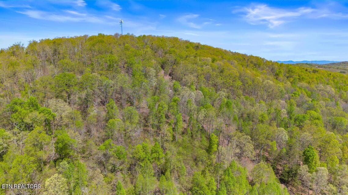 20250410172523195821000000-o - 500 Dogtown Rd, Ten Mile, TN 37880