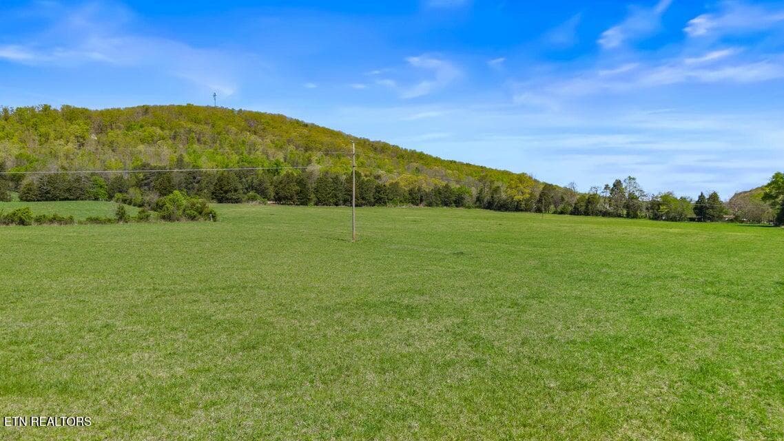 20250410172531933384000000-o - 500 Dogtown Rd, Ten Mile, TN 37880