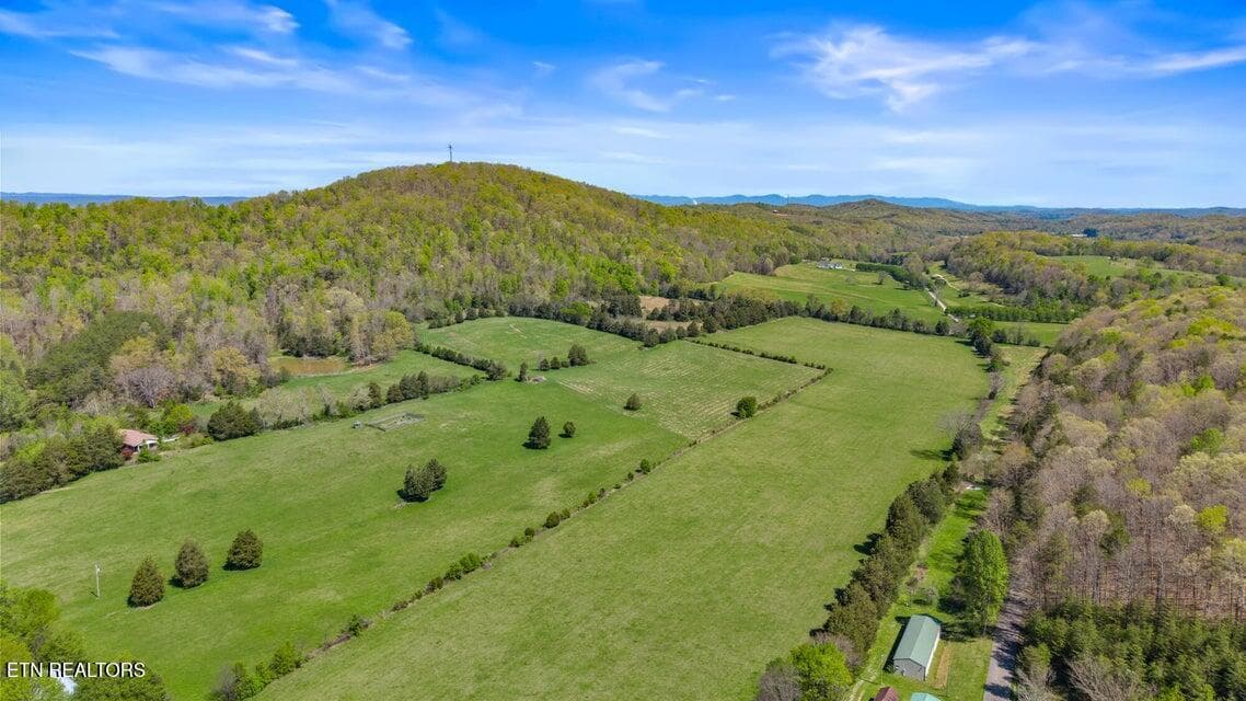 20250410172534201350000000-o - 500 Dogtown Rd, Ten Mile, TN 37880