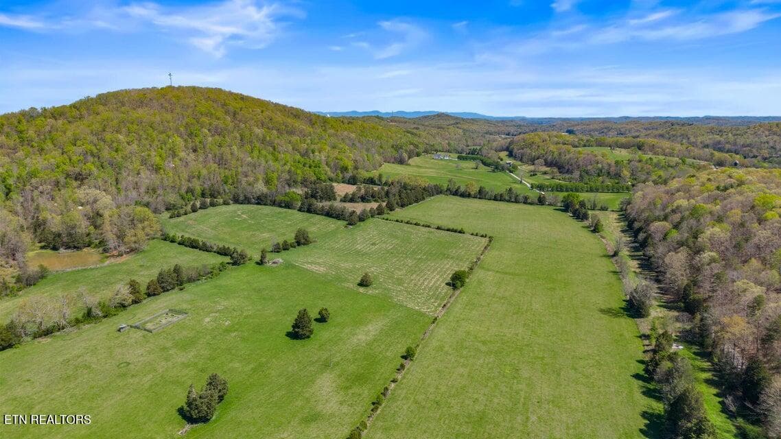 20250410172536183543000000-o - 500 Dogtown Rd, Ten Mile, TN 37880