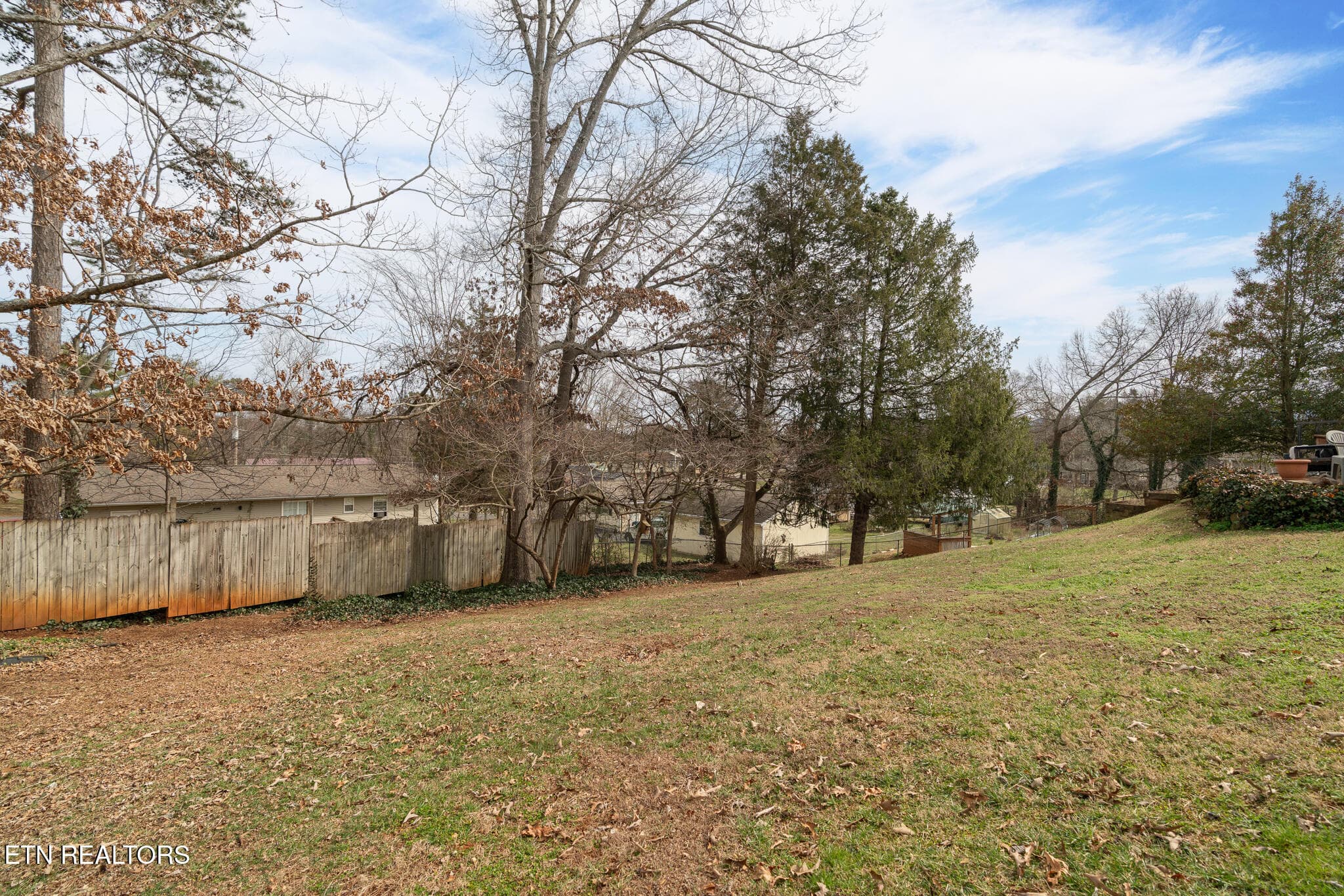 untitled-28 - 208 Blue Ridge Lane, Seymour, TN 37865