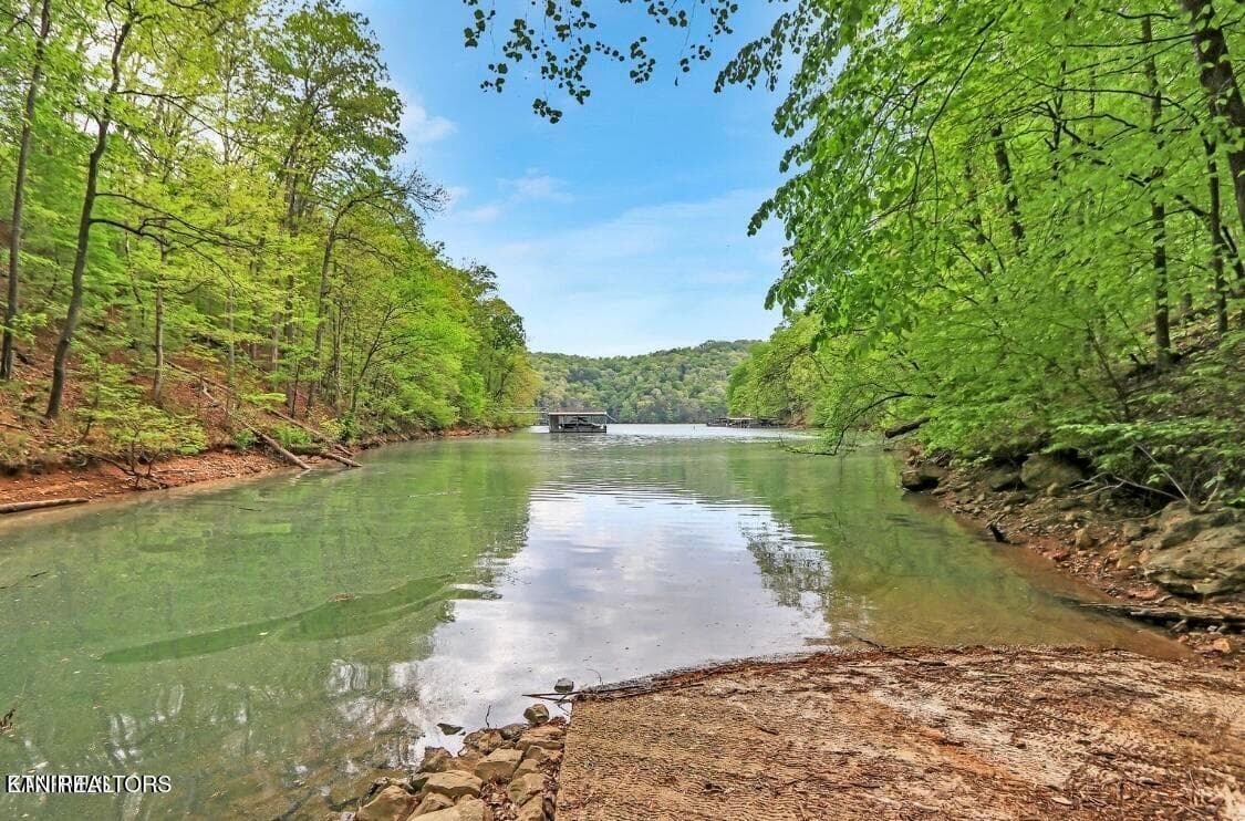 20220805210258682986000000-o - 0 Cove Norris Rd, Caryville, TN 37714