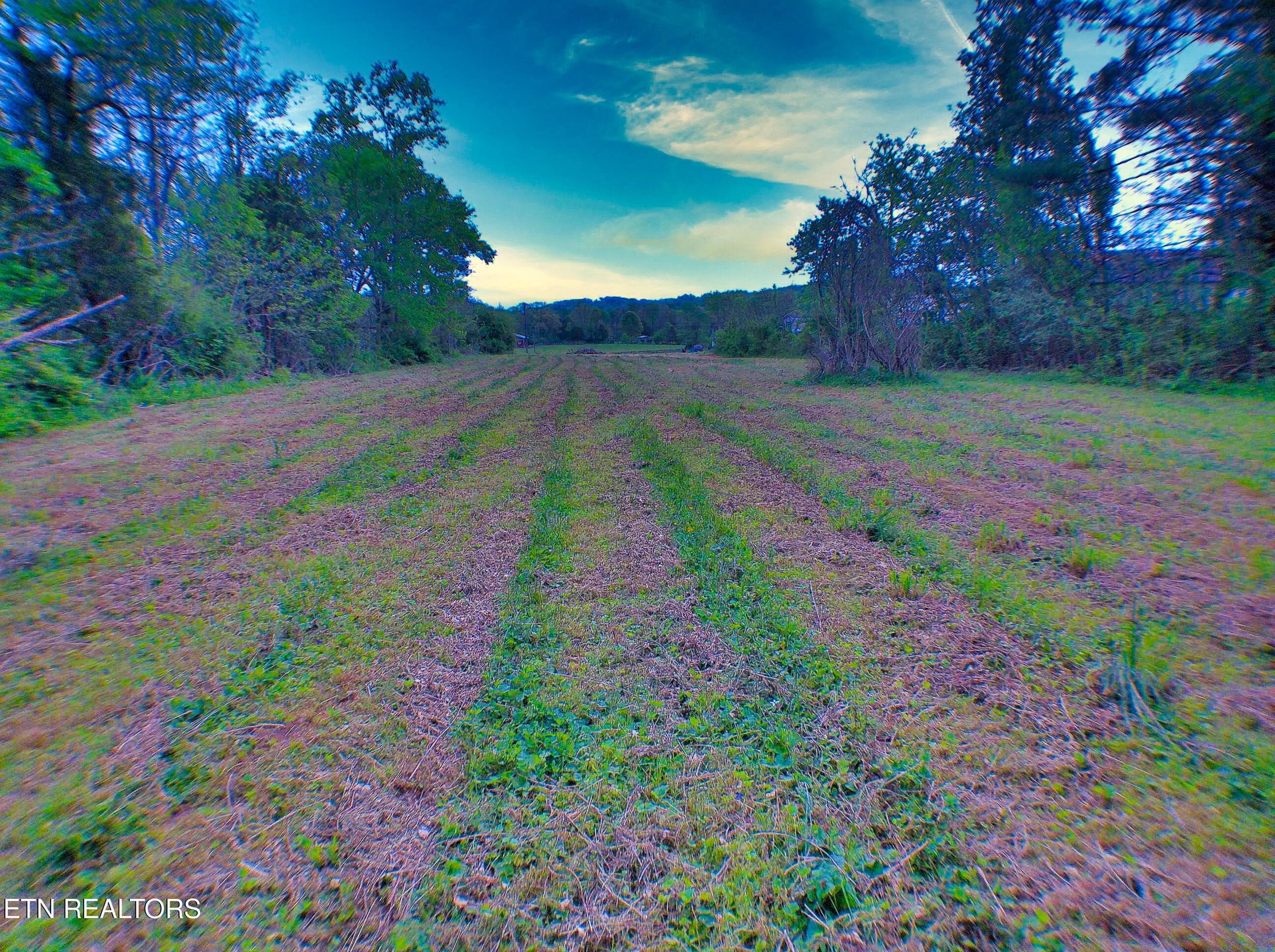 ANMP0000 - 471 Park Rd, Caryville, TN 37714