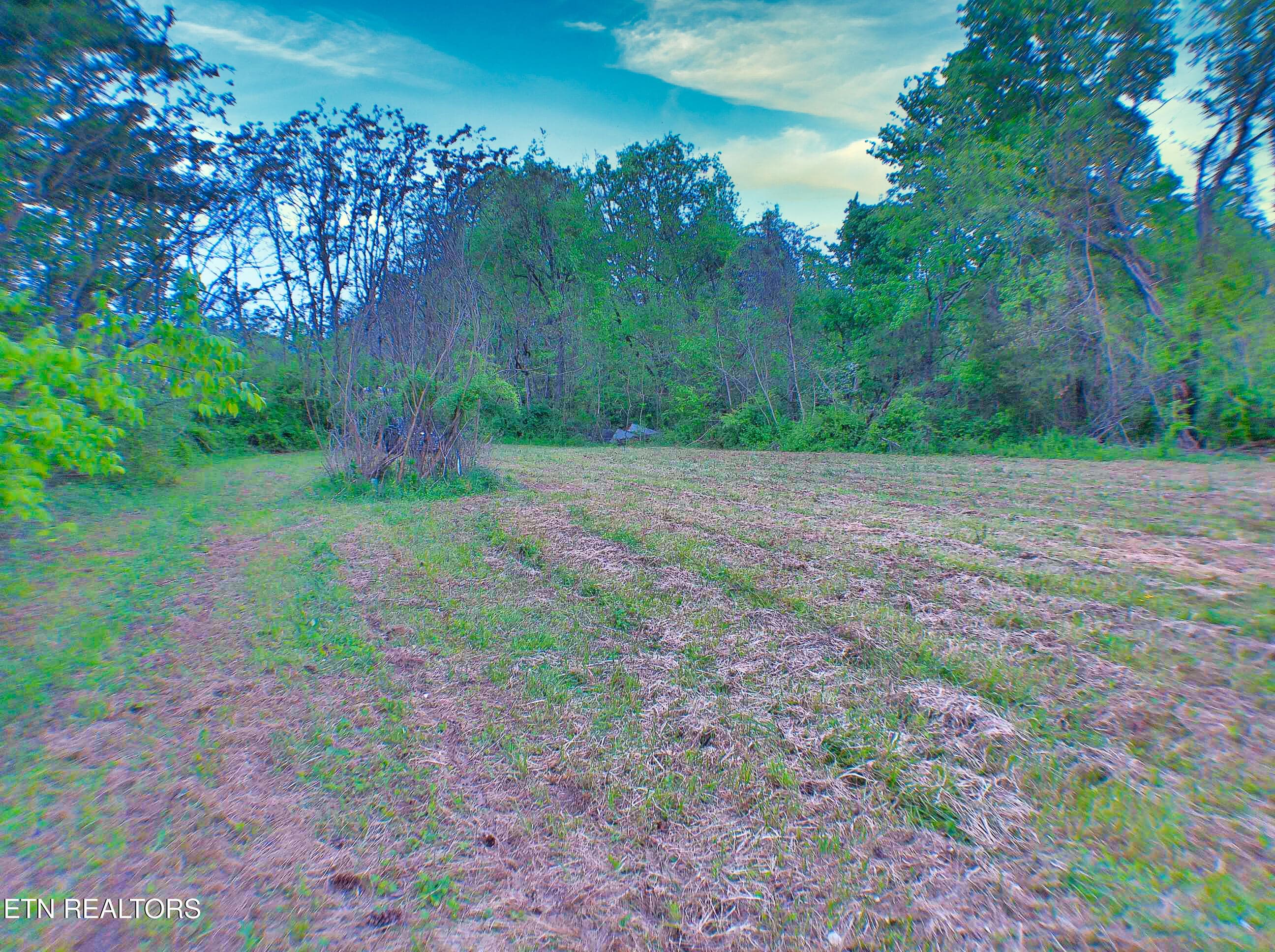 ANMP0006 - 471 Park Rd, Caryville, TN 37714