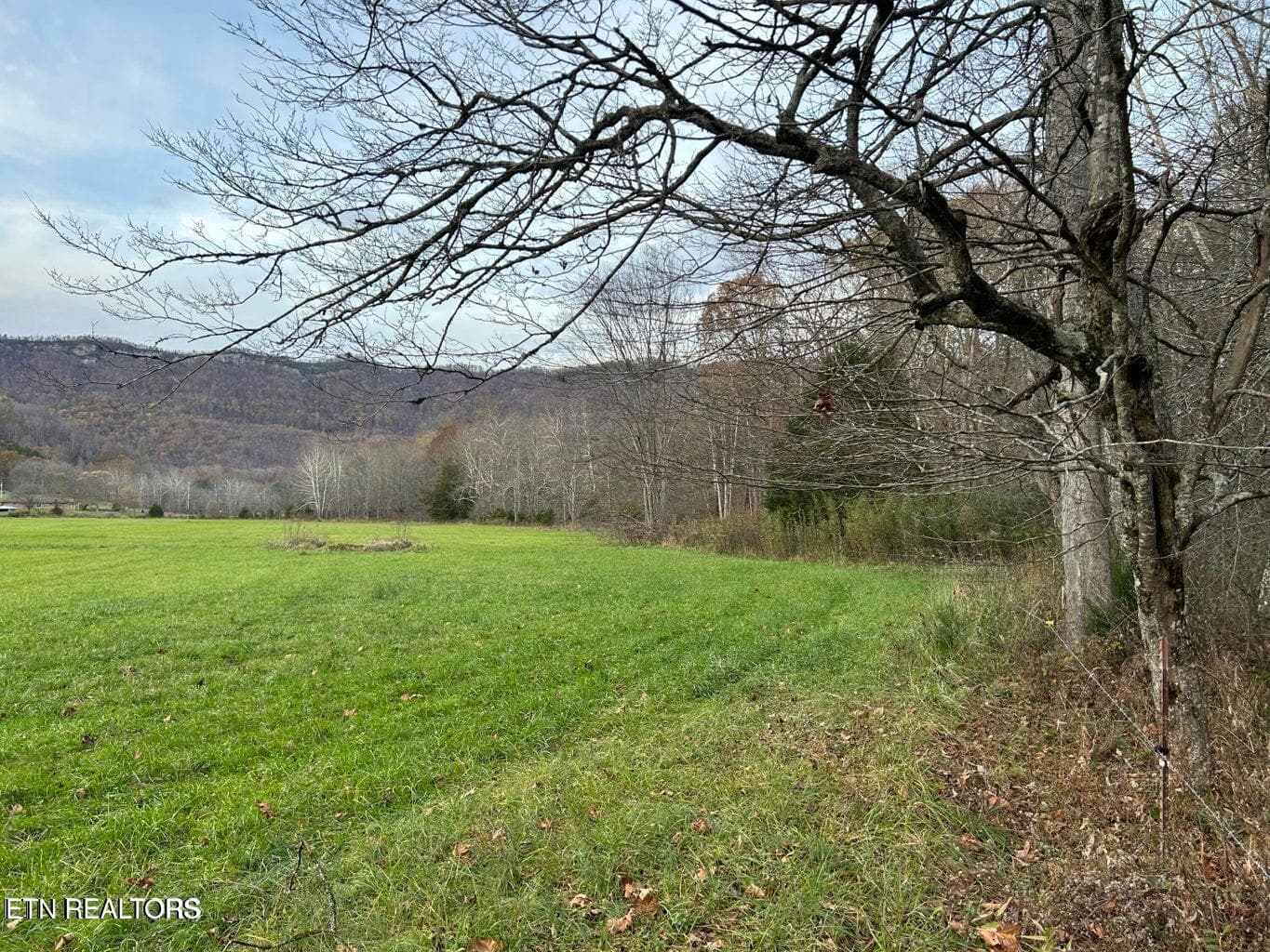 Pic 3 - Old Friendship, Jonesville, VA 24263