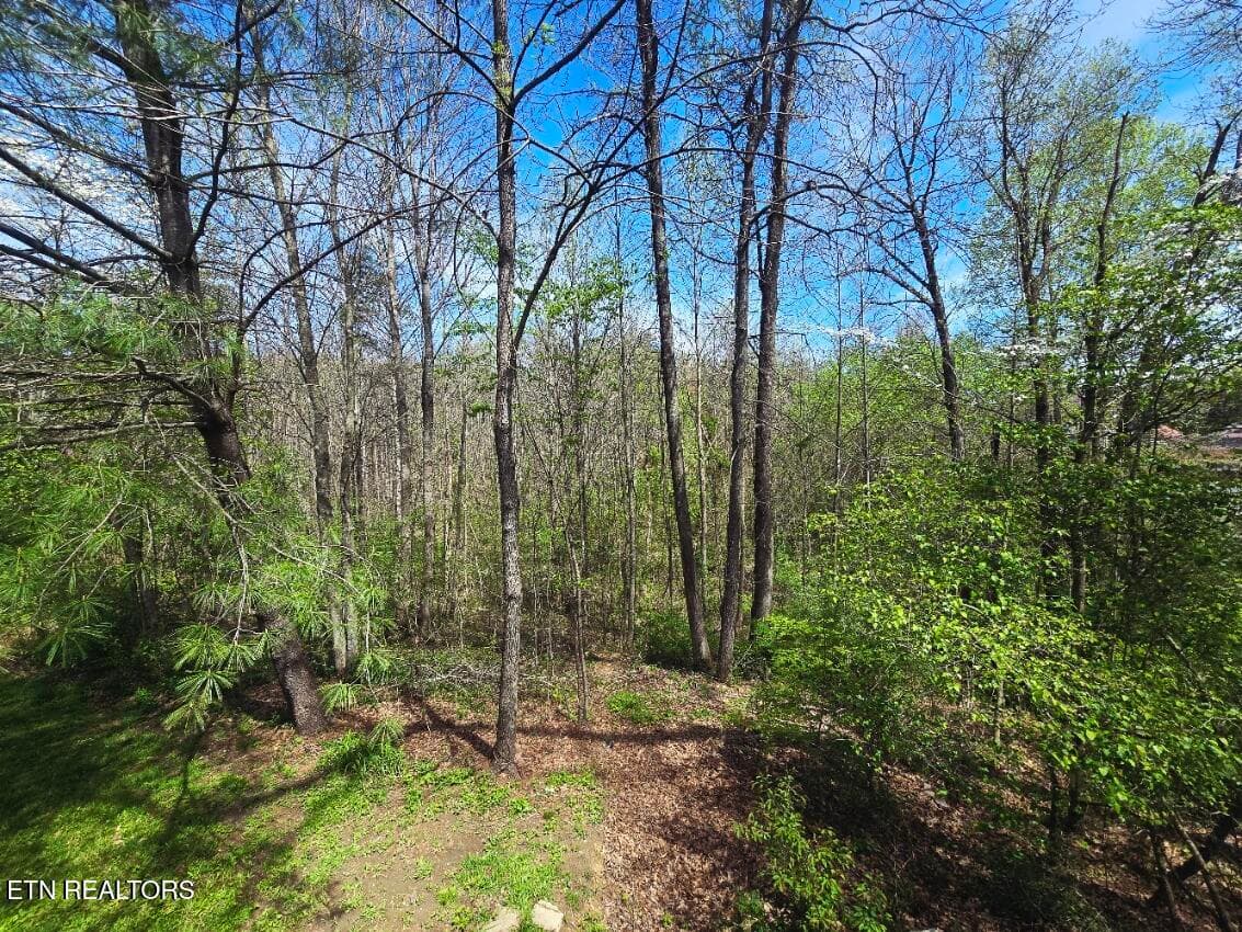 20260406_133502 - 210 Dogwood Ave, Oneida, TN 37841, Oneida