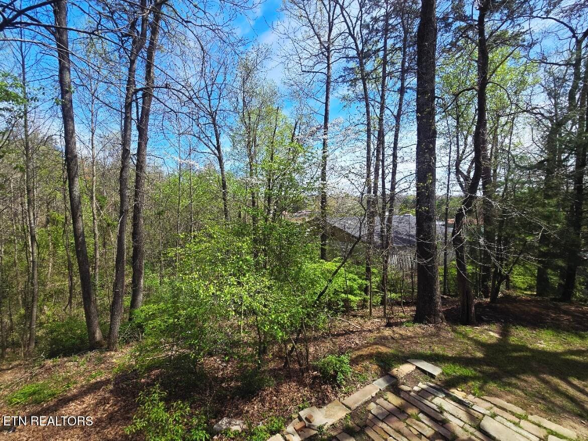20260406_133515 - 210 Dogwood Ave, Oneida, TN 37841, Oneida