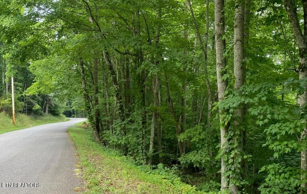 20210811165947648713000000-o - 0 Cove Norris Rd, Caryville, TN 37714