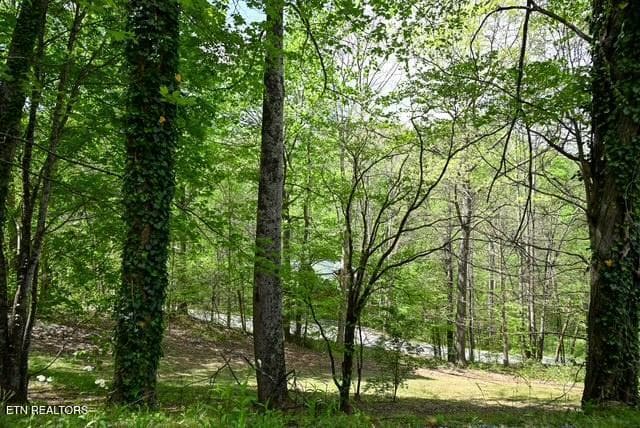 1421 61 - 1421 Silver Poplar Lane, Sevierville, TN 37876