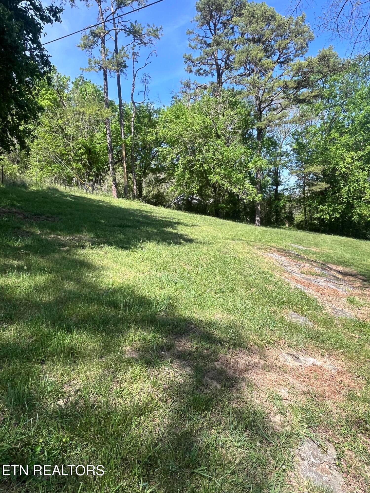 IMG_0786 - 3002 Highway 61 East, Luttrell, TN 37779