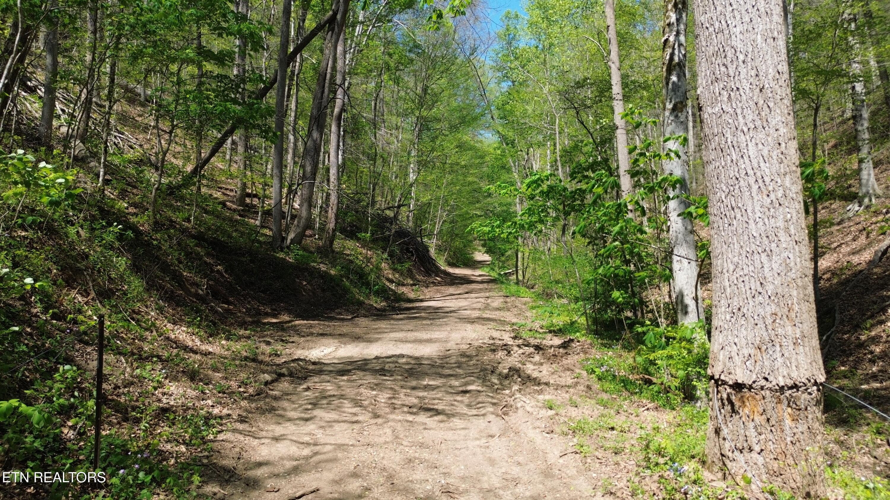 DJI_0437 - 0 Big Hill Rd, Mooresburg, TN 37811, Mooresburg