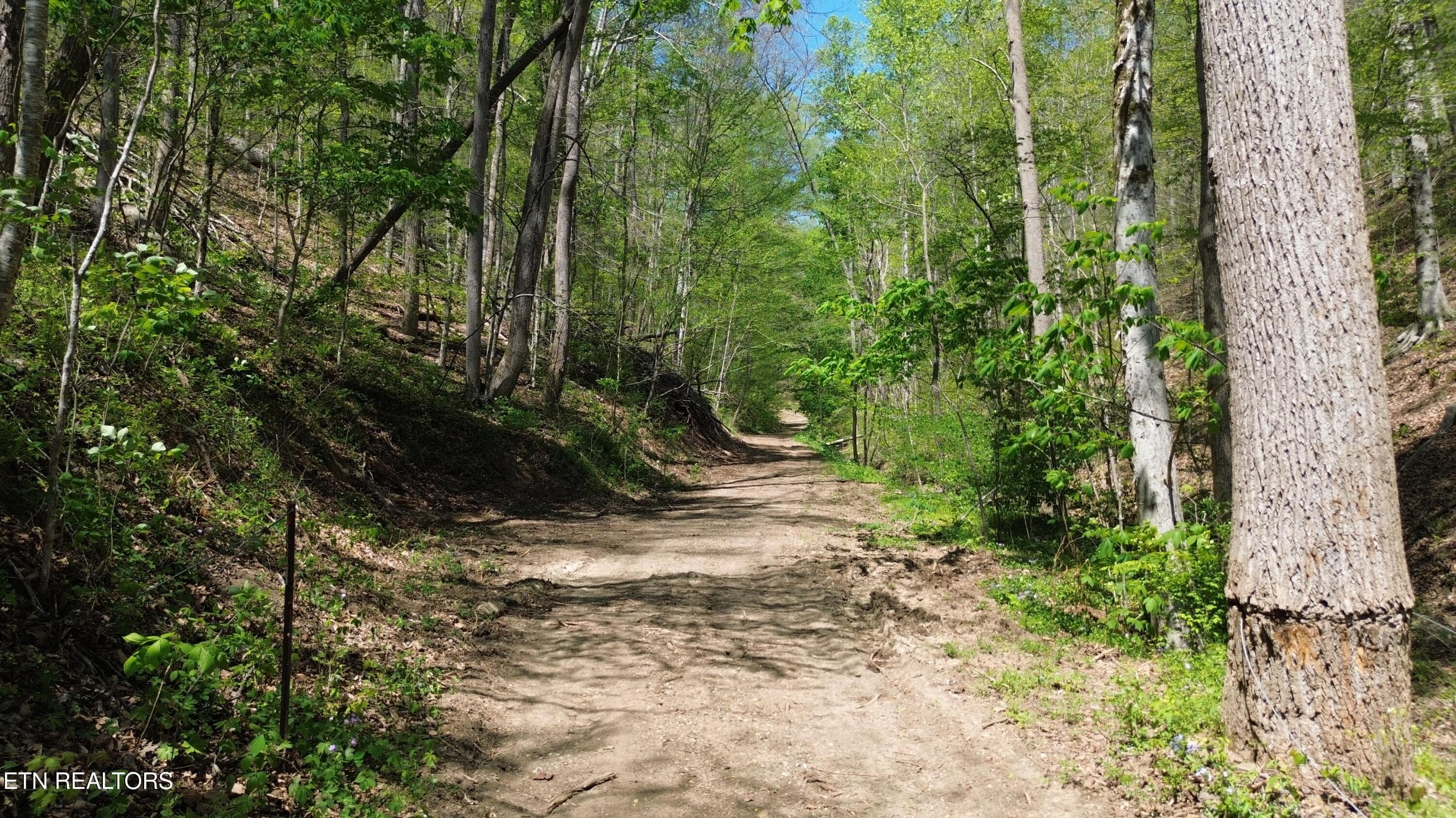 DJI_0438 - 0 Big Hill Rd, Mooresburg, TN 37811, Mooresburg