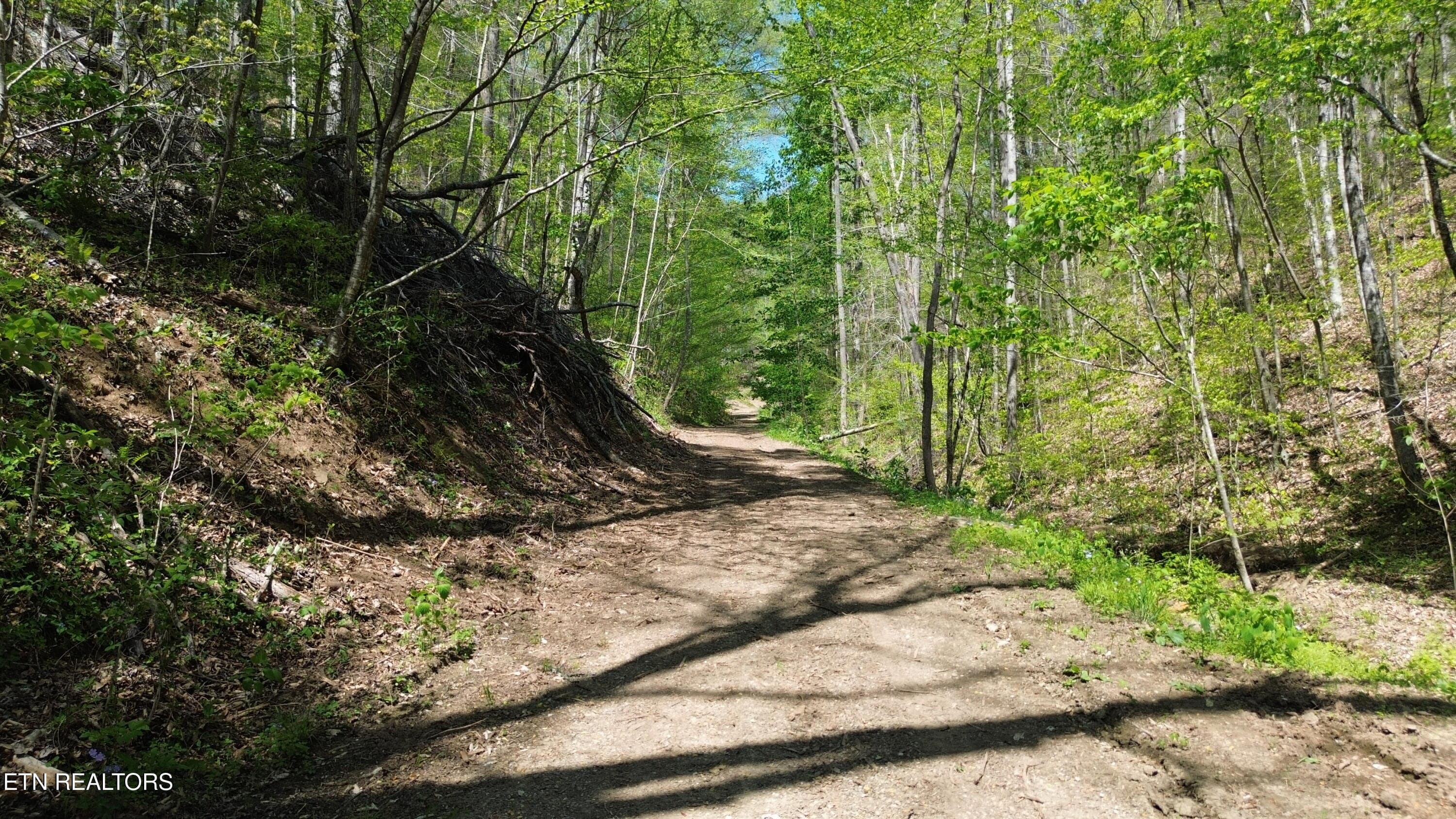 DJI_0439 - 0 Big Hill Rd, Mooresburg, TN 37811, Mooresburg