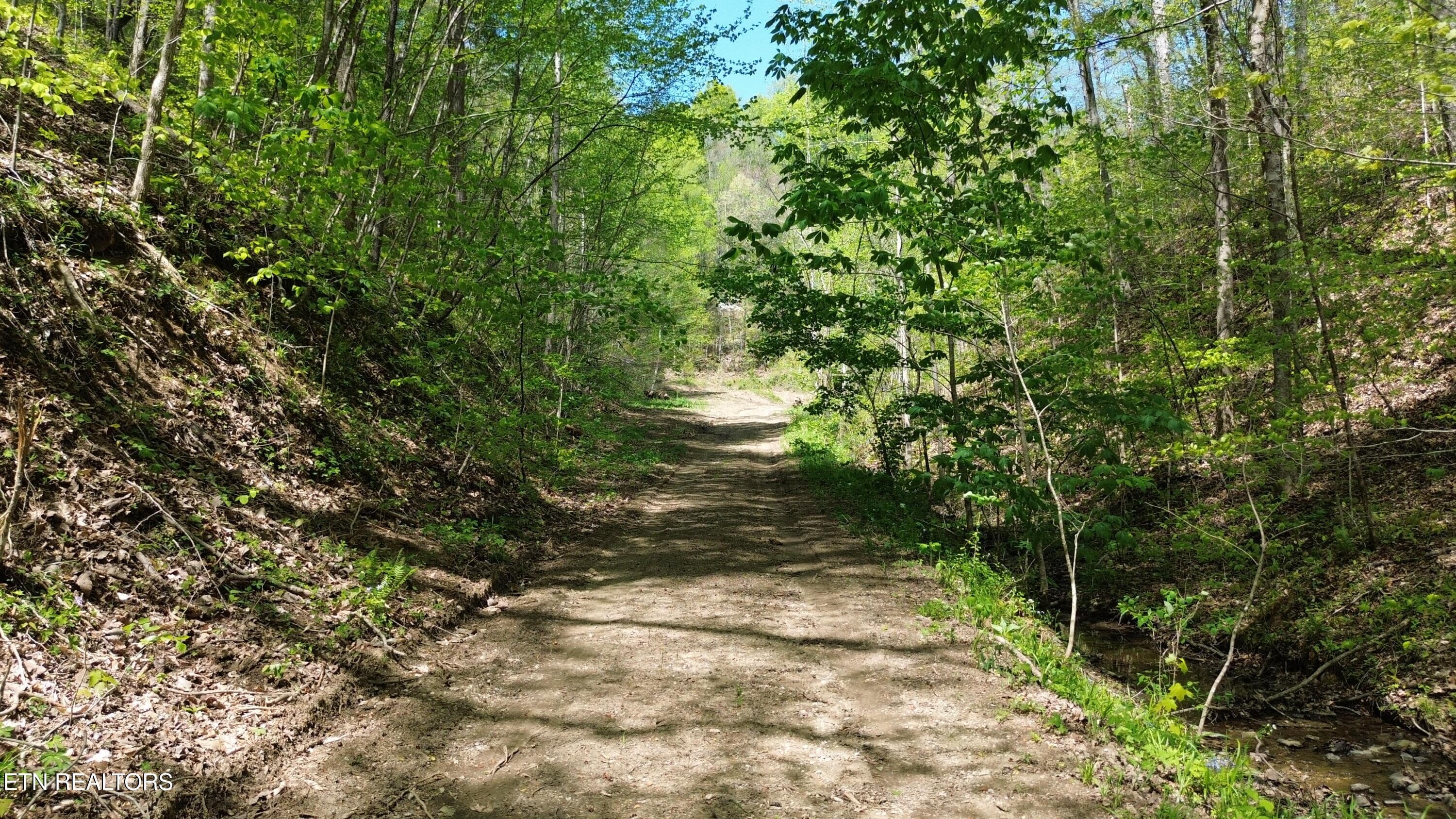 DJI_0442 - 0 Big Hill Rd, Mooresburg, TN 37811, Mooresburg