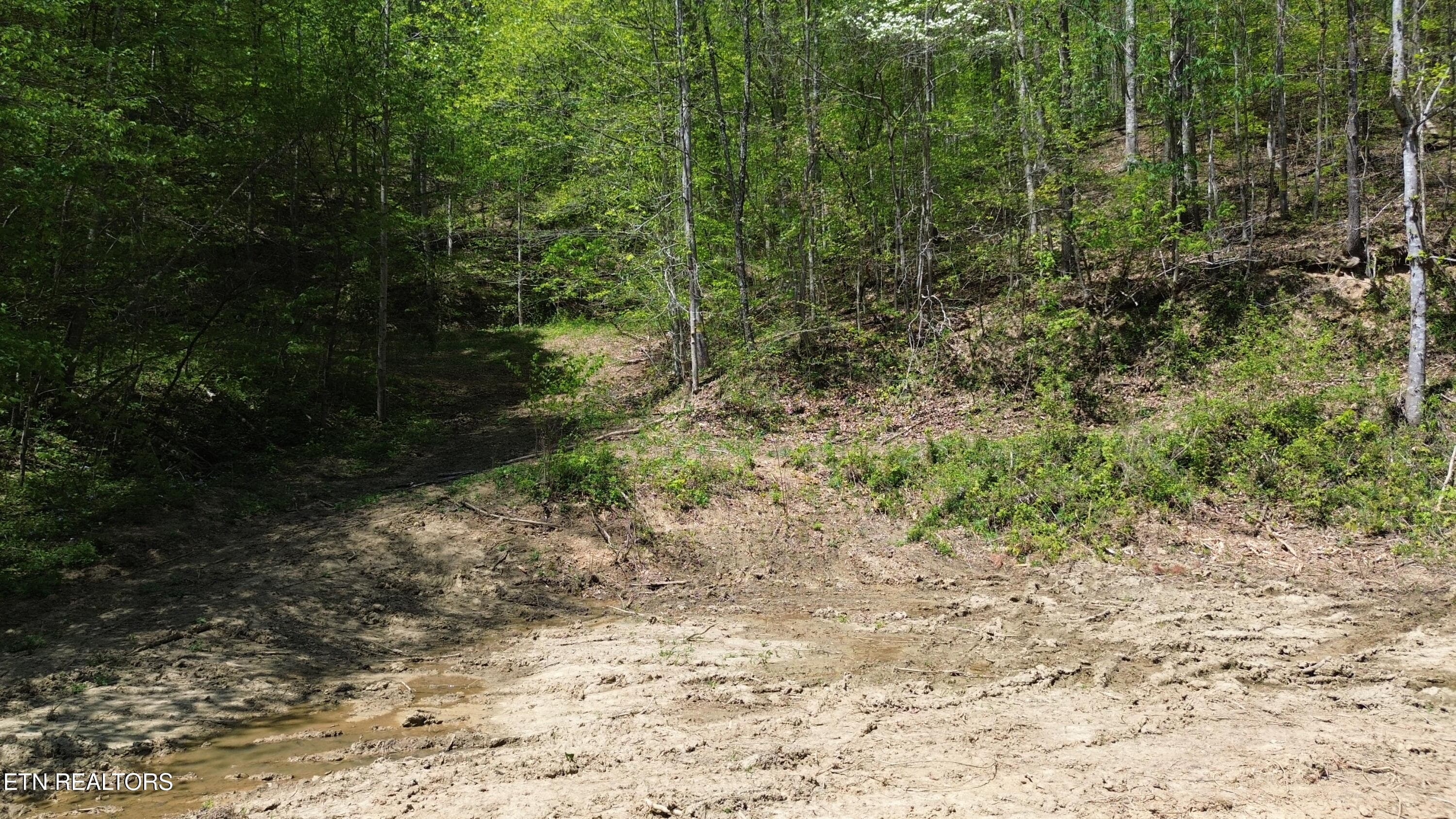 DJI_0445 - 0 Big Hill Rd, Mooresburg, TN 37811, Mooresburg