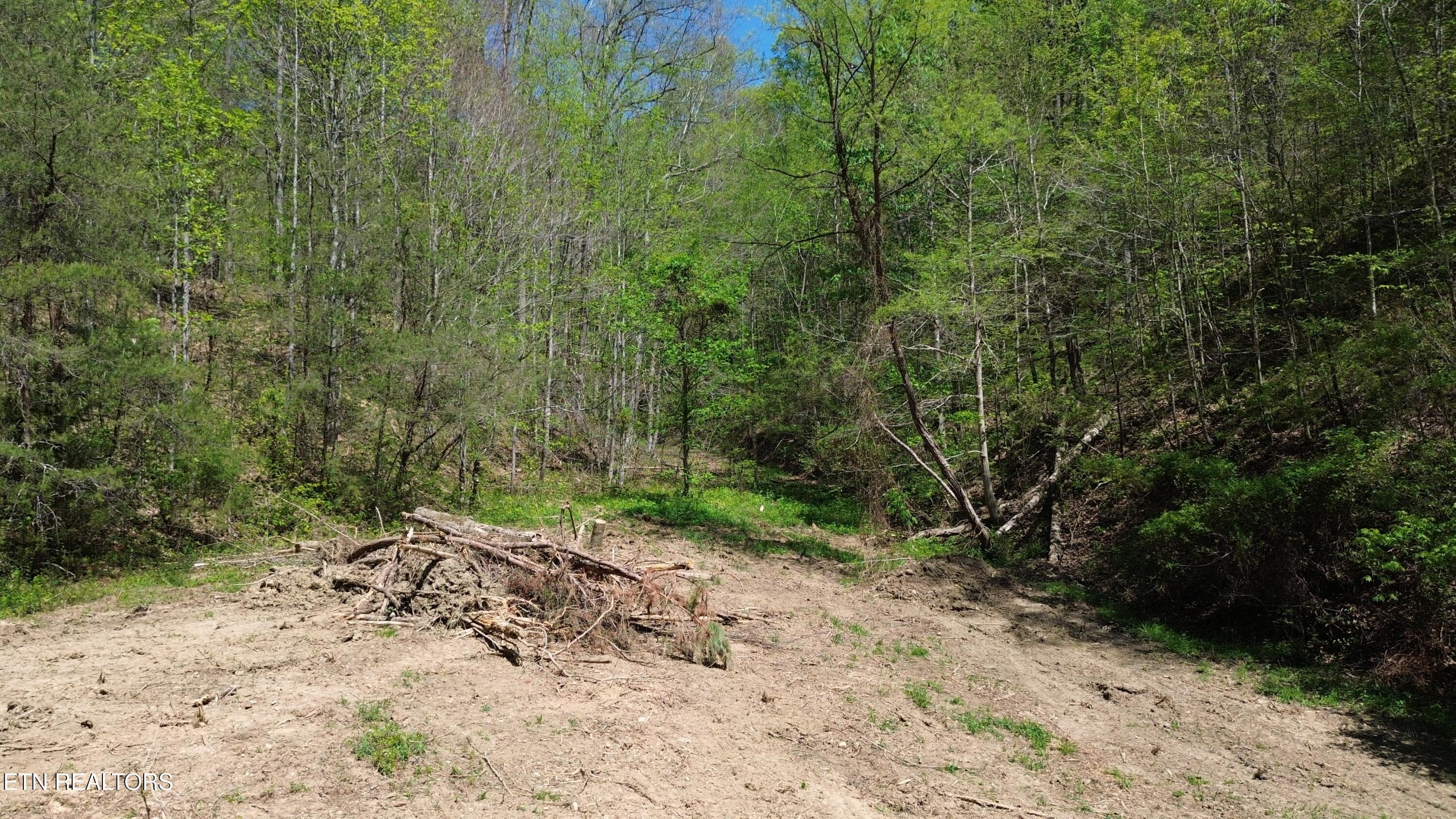 DJI_0446 - 0 Big Hill Rd, Mooresburg, TN 37811, Mooresburg
