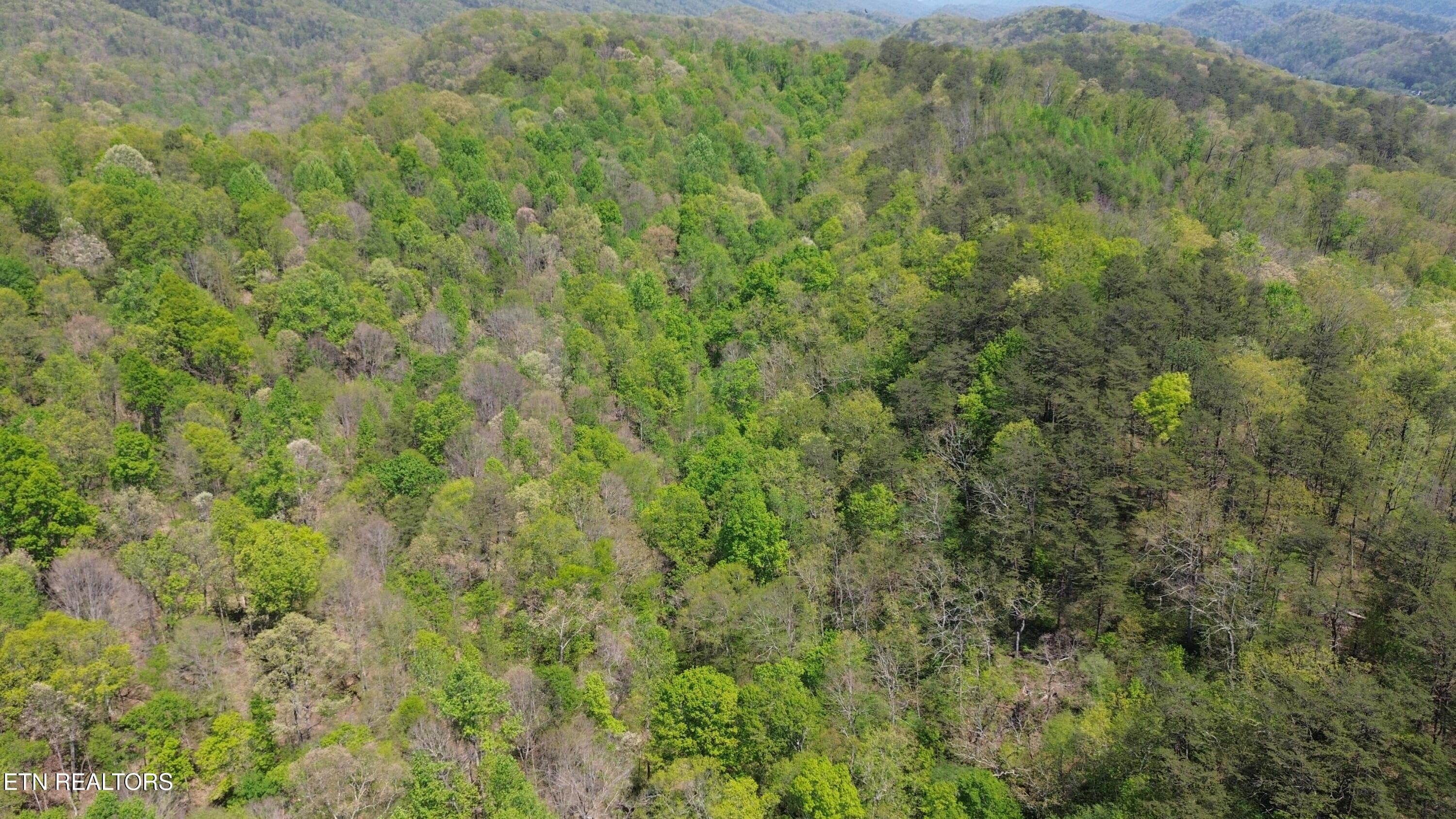 DJI_0448 - 0 Big Hill Rd, Mooresburg, TN 37811, Mooresburg