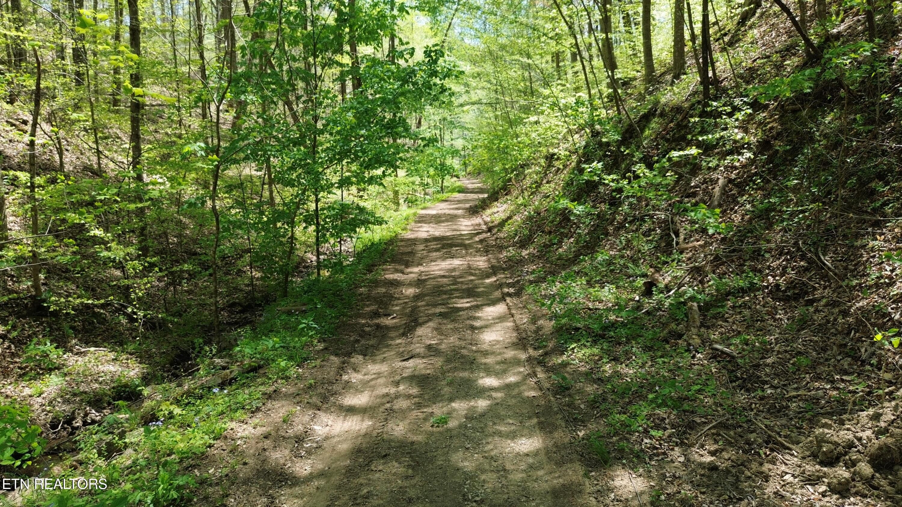 DJI_0454 - 0 Big Hill Rd, Mooresburg, TN 37811, Mooresburg