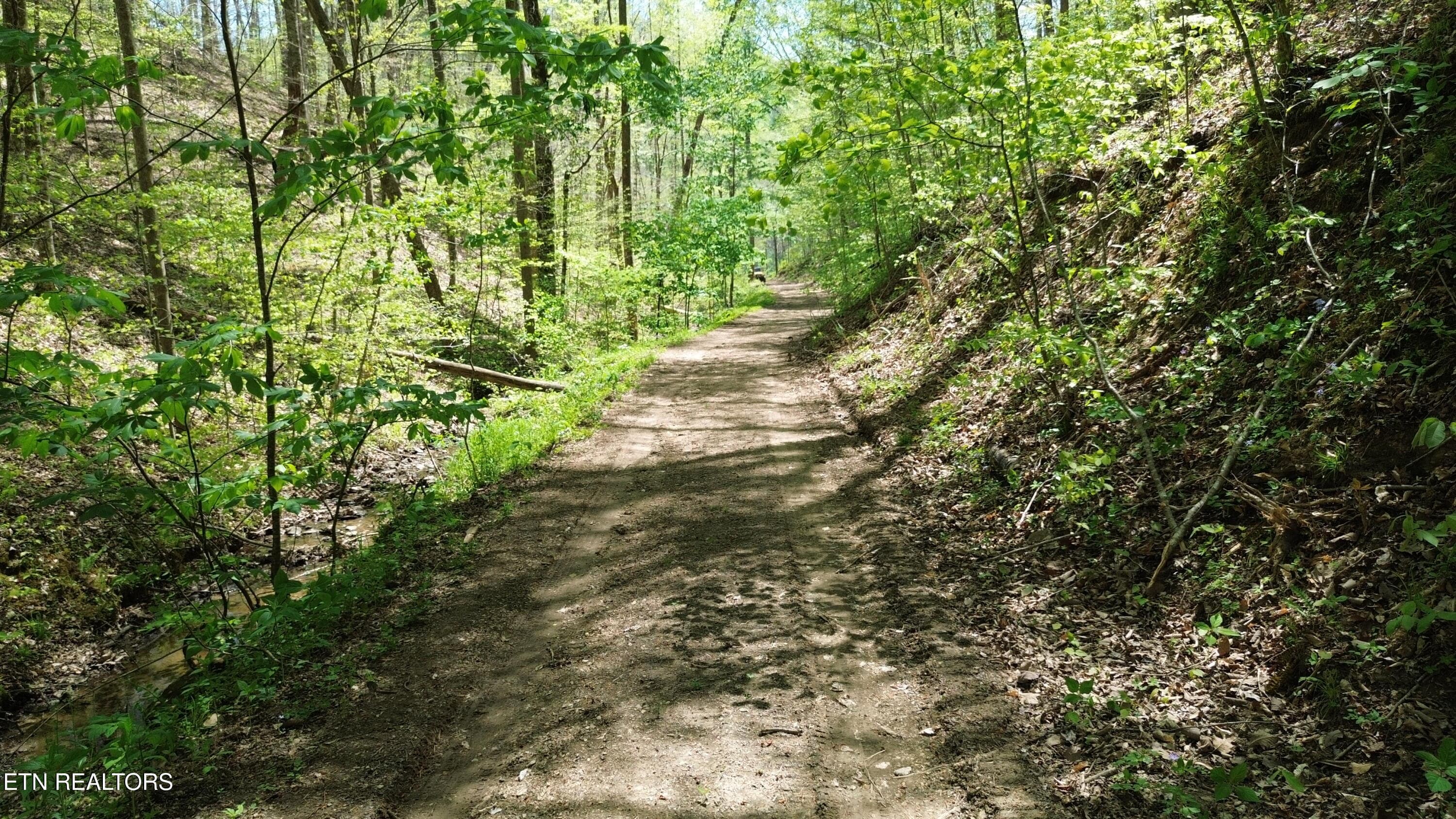 DJI_0455 - 0 Big Hill Rd, Mooresburg, TN 37811, Mooresburg