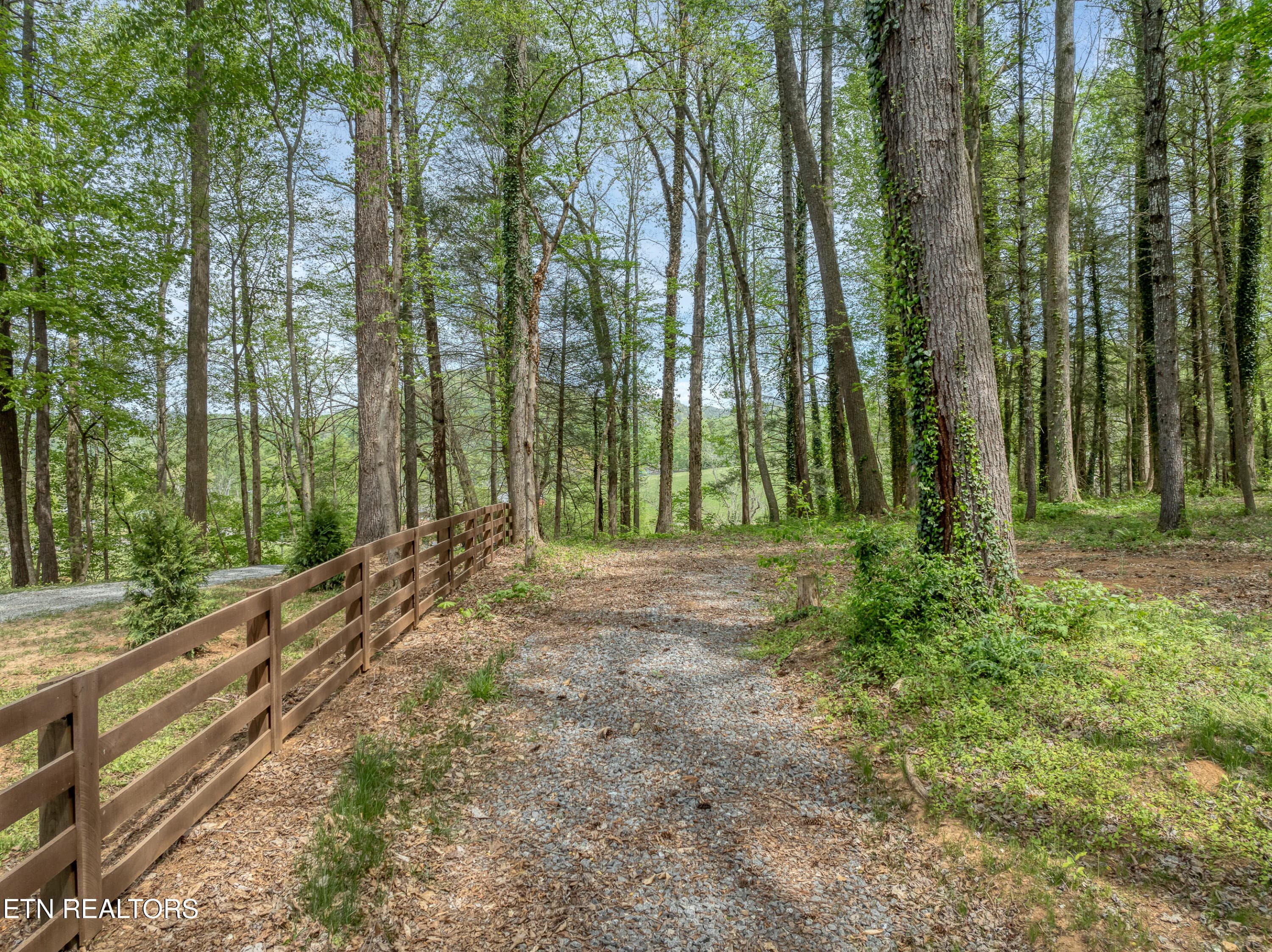 DJI_0498 - 151 Bethel Church Rd, Townsend, TN 37882