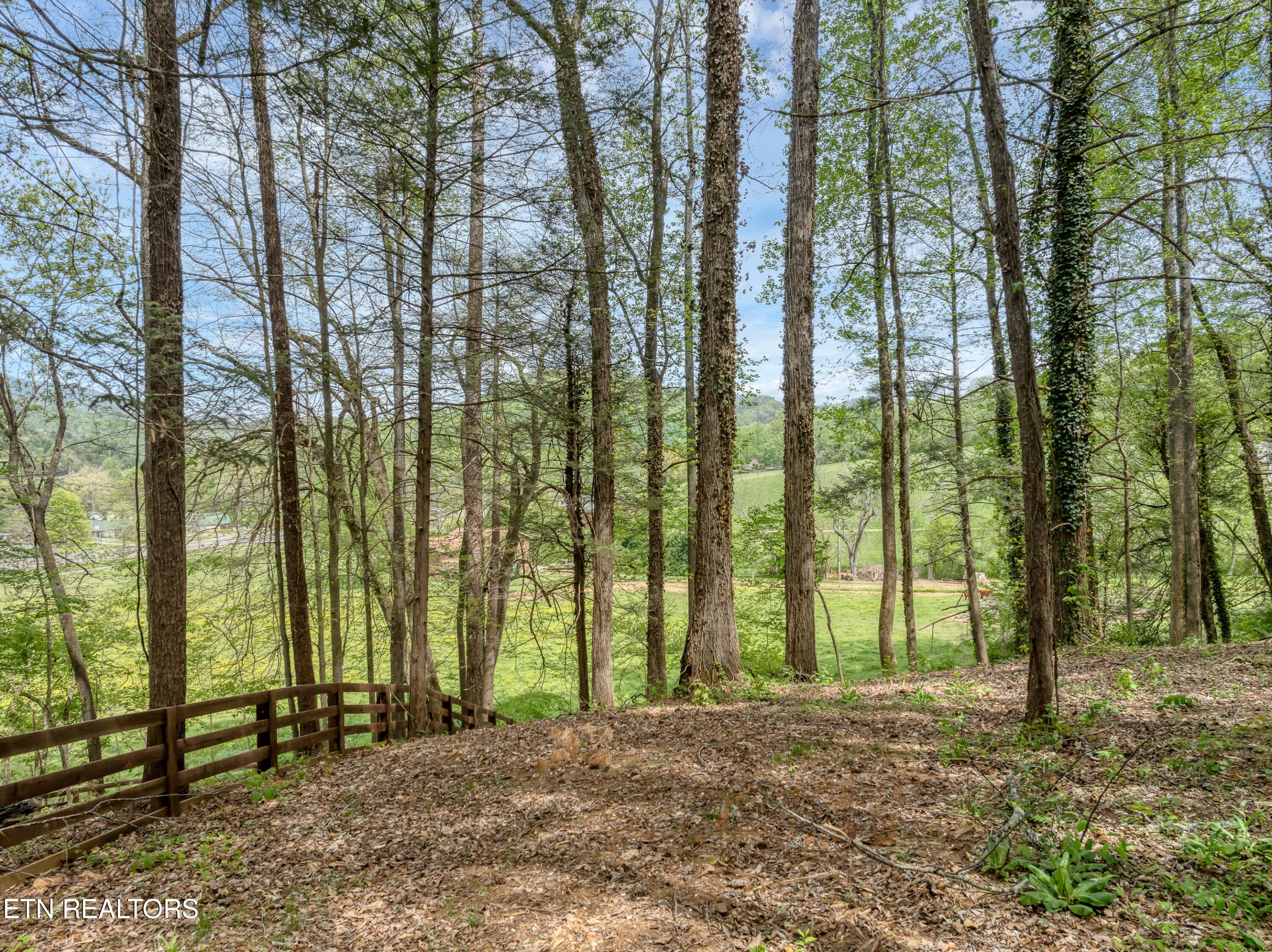 DJI_0501 - 151 Bethel Church Rd, Townsend, TN 37882