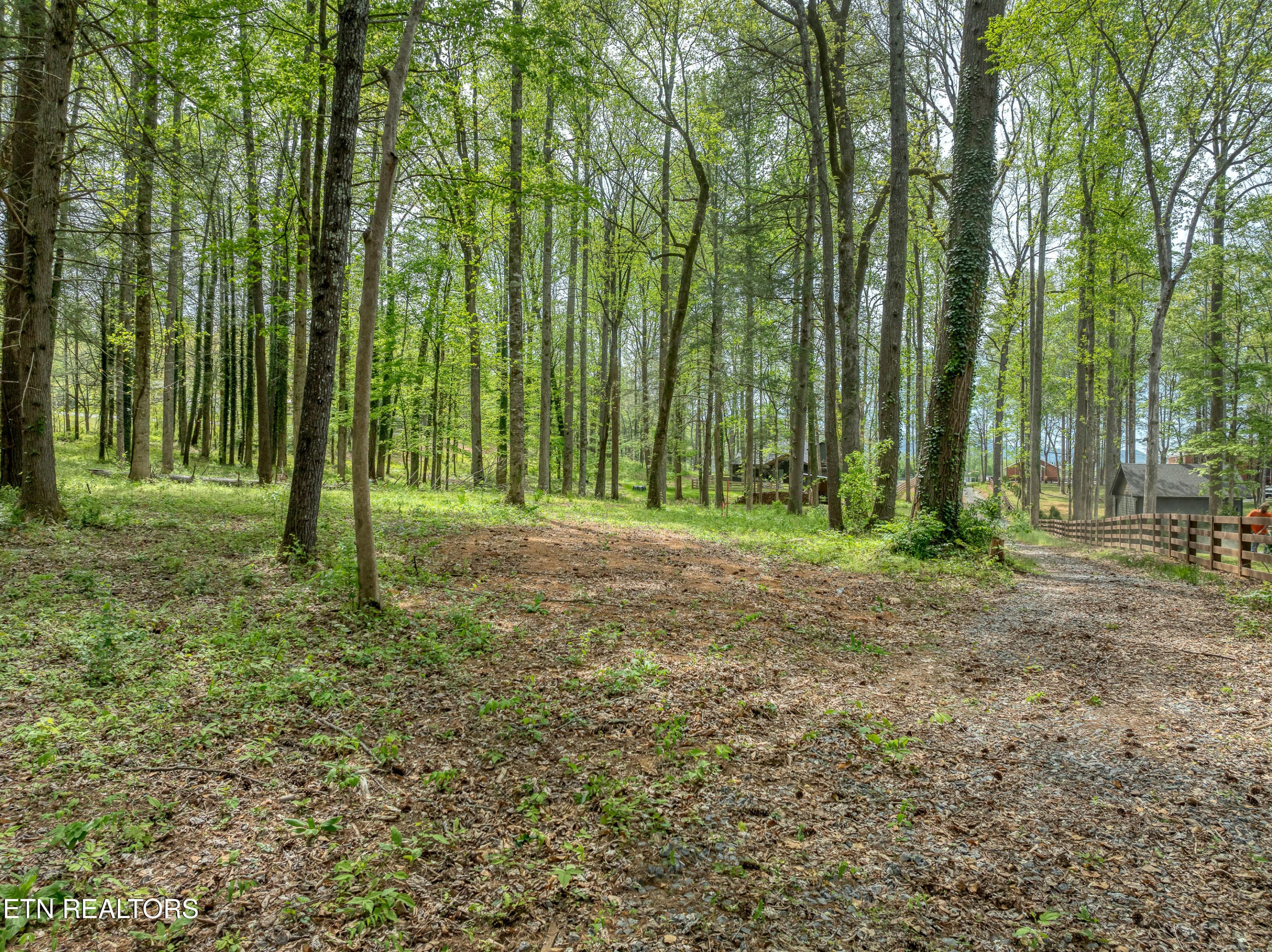 DJI_0507 - 151 Bethel Church Rd, Townsend, TN 37882