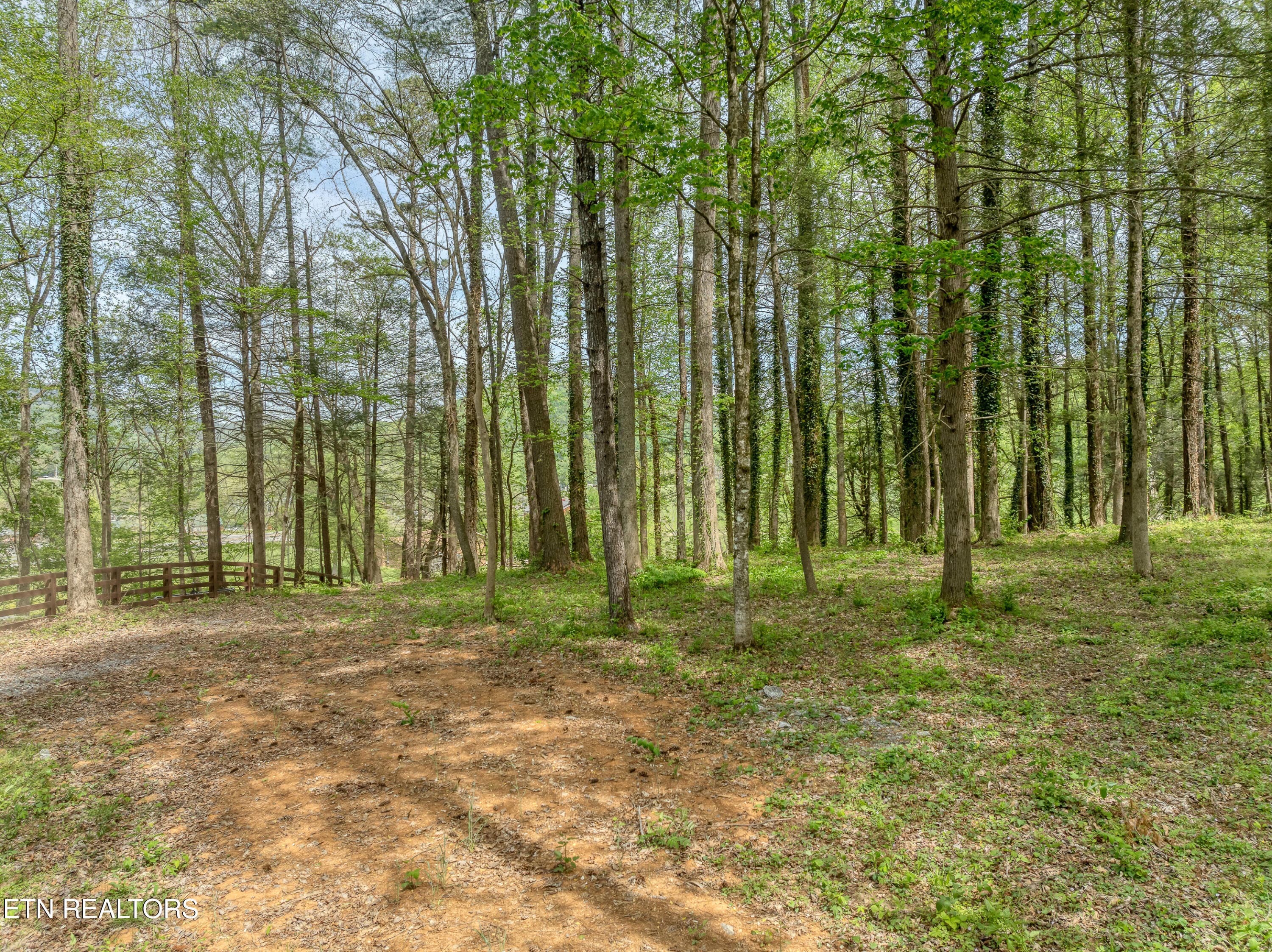 DJI_0510 - 151 Bethel Church Rd, Townsend, TN 37882