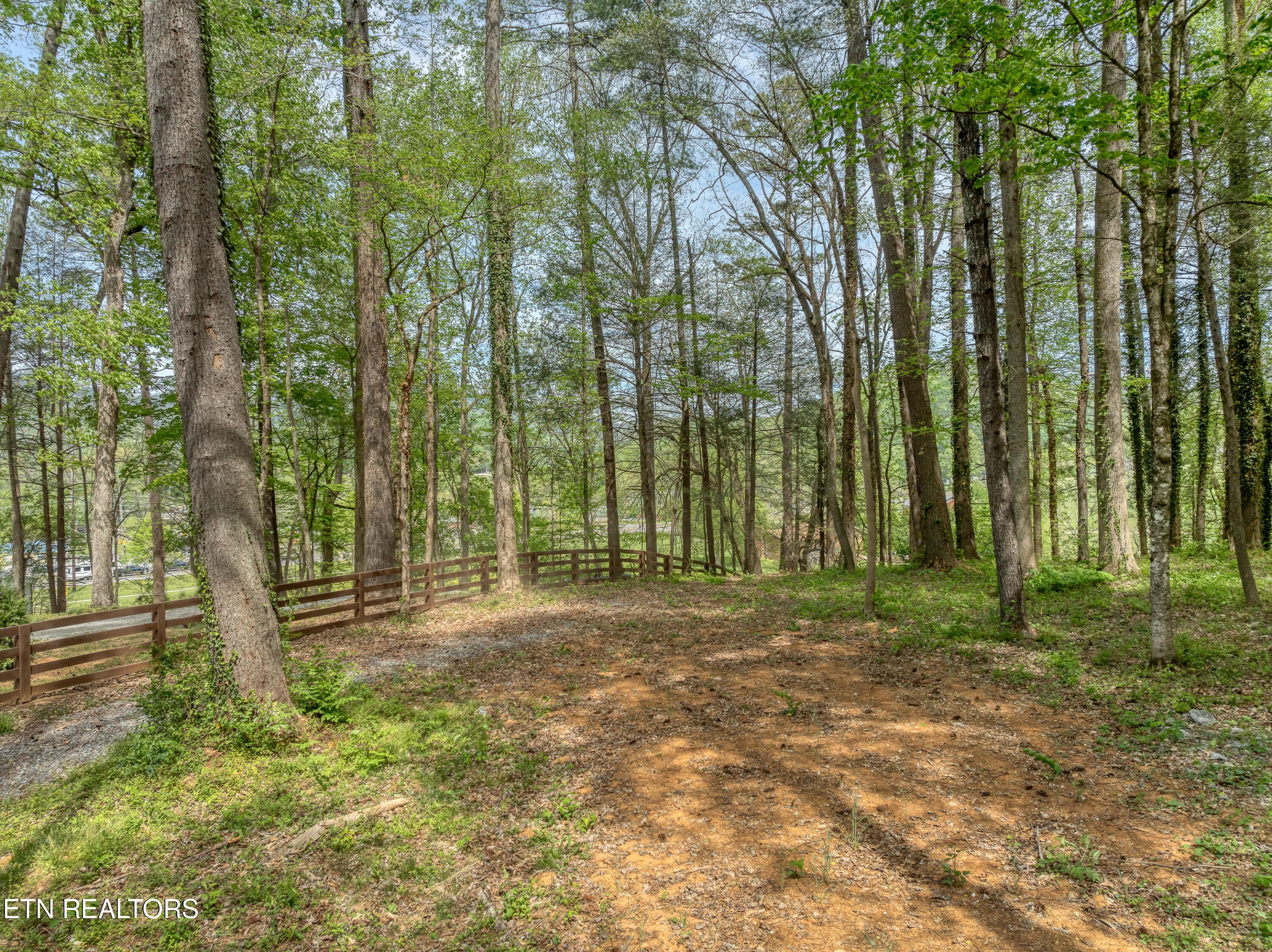 DJI_0513 - 151 Bethel Church Rd, Townsend, TN 37882