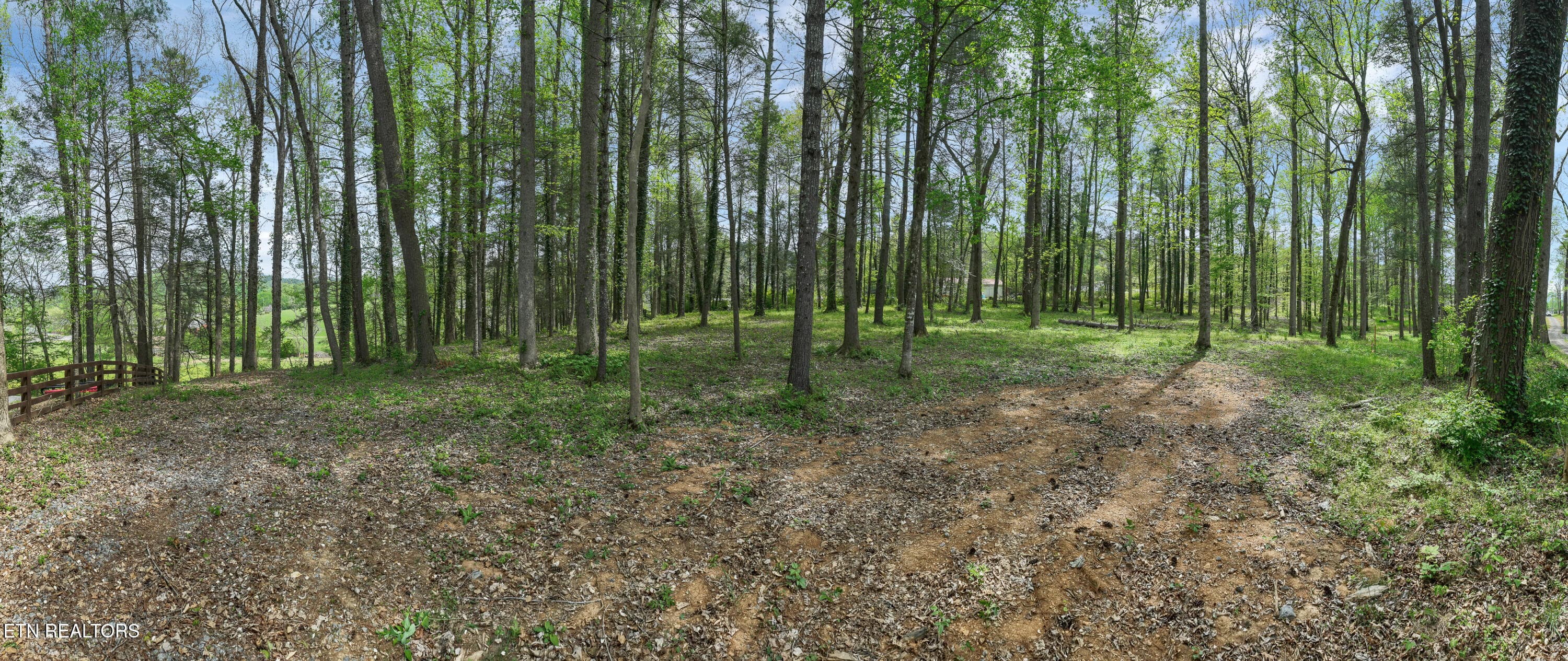 DJI_0545 - 151 Bethel Church Rd, Townsend, TN 37882