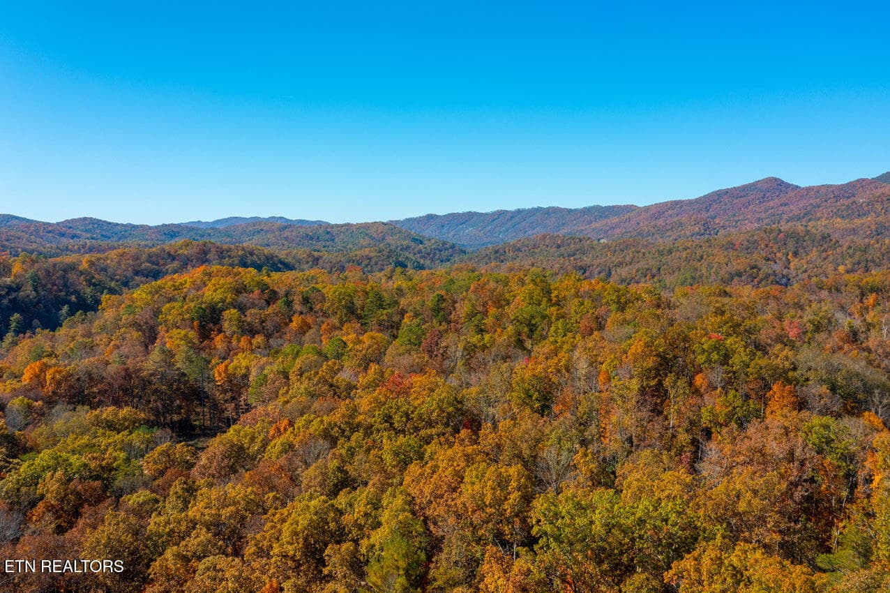 Beautiful Views from the ridge - 2050 E Millers Cove Rd, Walland, TN 37886