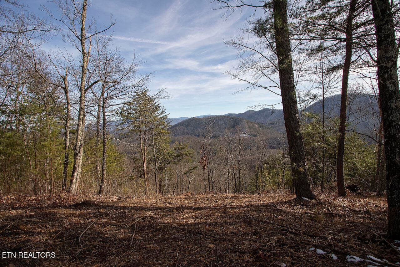 Homesite on Northeast side - 2050 E Millers Cove Rd, Walland, TN 37886