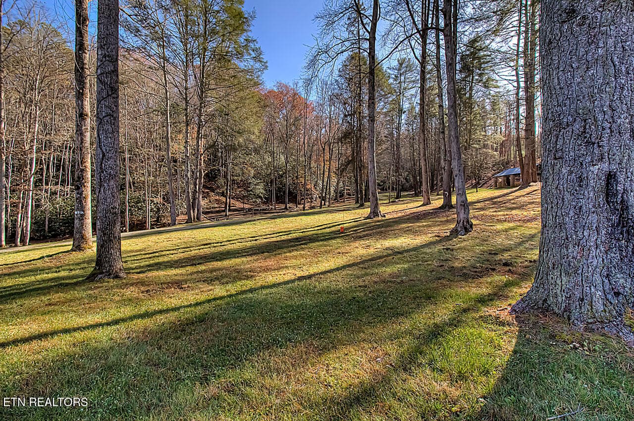 Lots of gently rolling terrian - 2050 E Millers Cove Rd, Walland, TN 37886